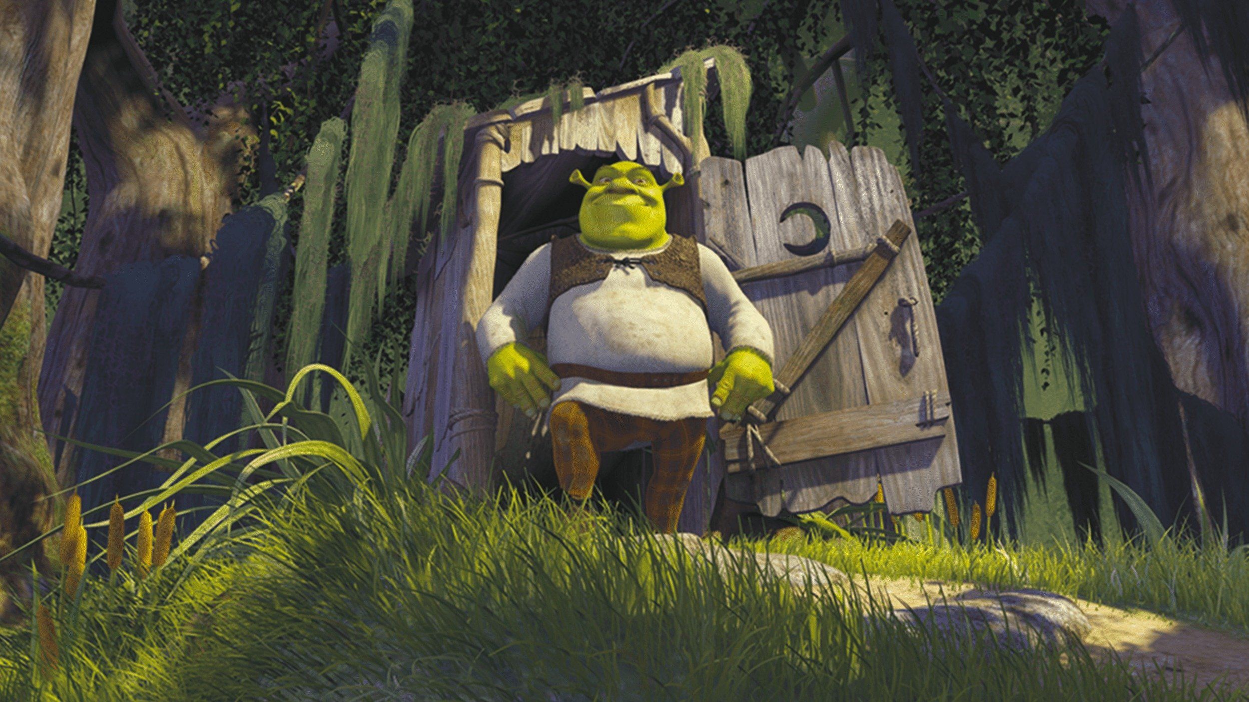 Shrek fuori dalla latrina, 2500x1406 Hi-Res, Laptop