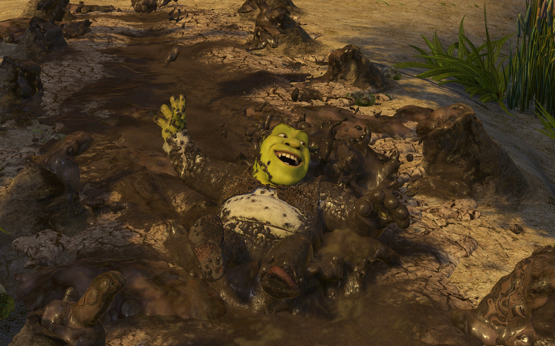 Shrek nel fango palude, 1920x1200 Full HD+ WUXGA, Laptop