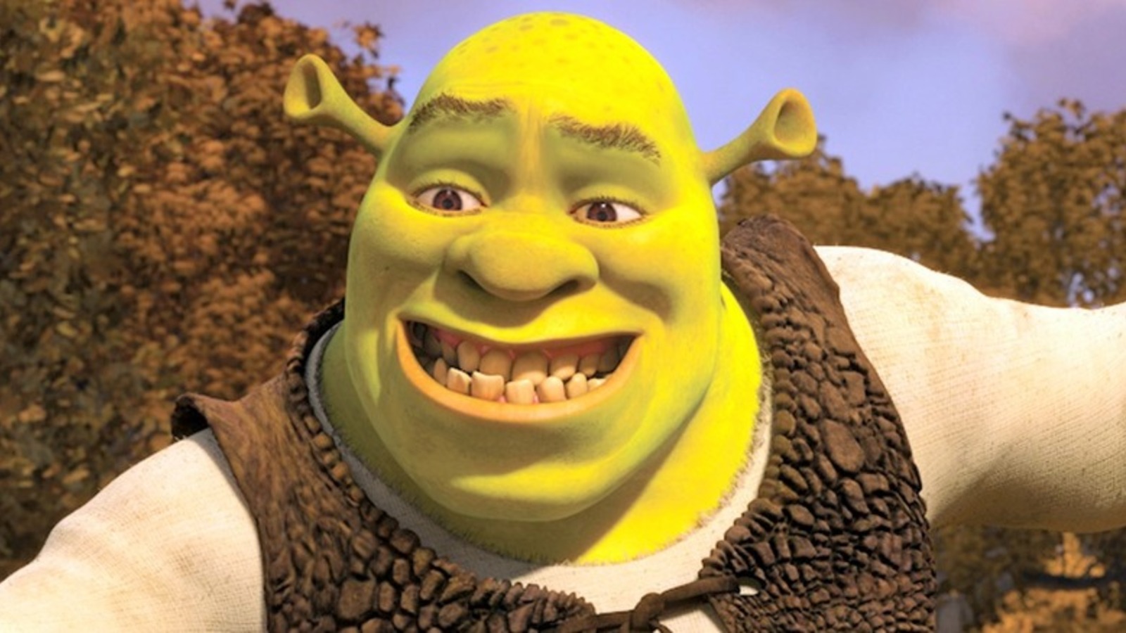 Shrek sorridente primo piano, 1600x900 900p, Laptop