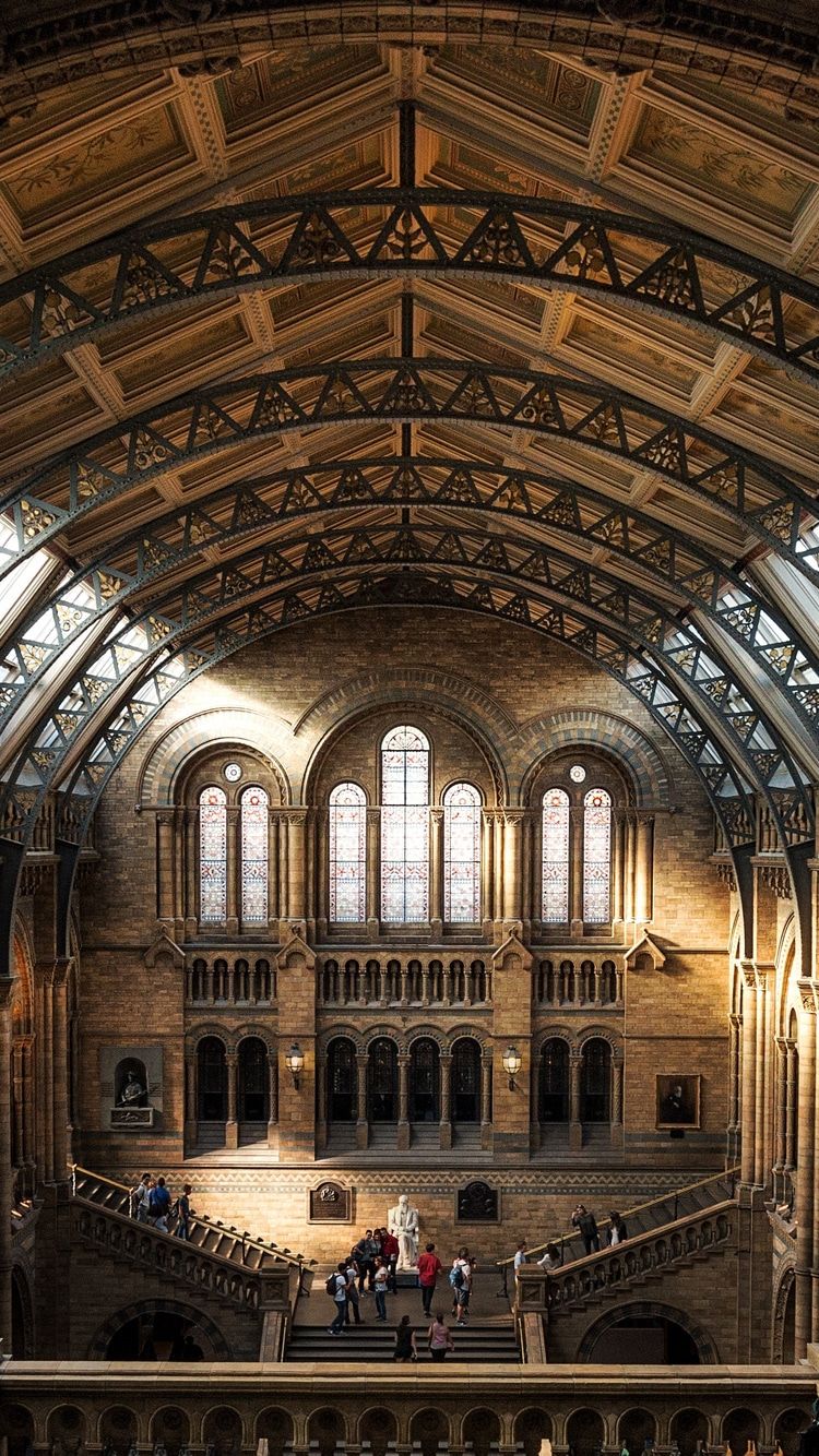 Interno museo storia naturale Londra, 750x1334 Full HD Verticale, Smartphone
