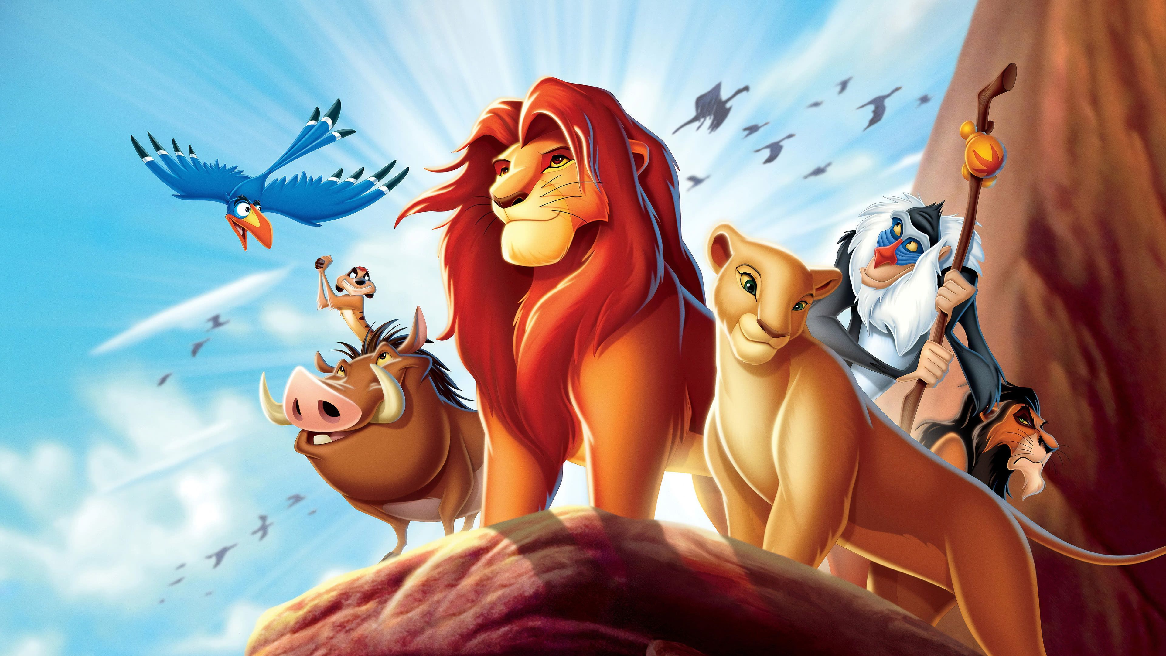 Simba, Nala, Timon e Pumbaa, 3840x2160 UHD, Monitor 4K