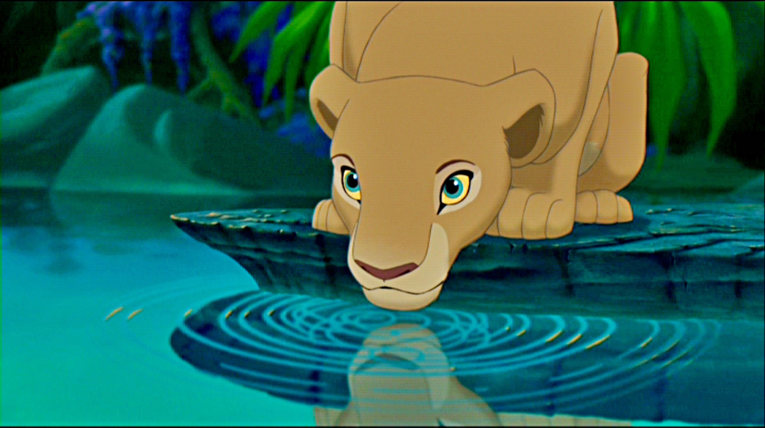 Nala cucciola Re Leone, 2560x1434 QHD, Laptop