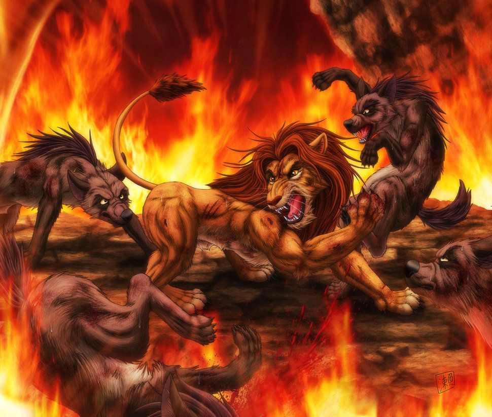 Simba combatte le iene, 970x823 HD, PC Desktop