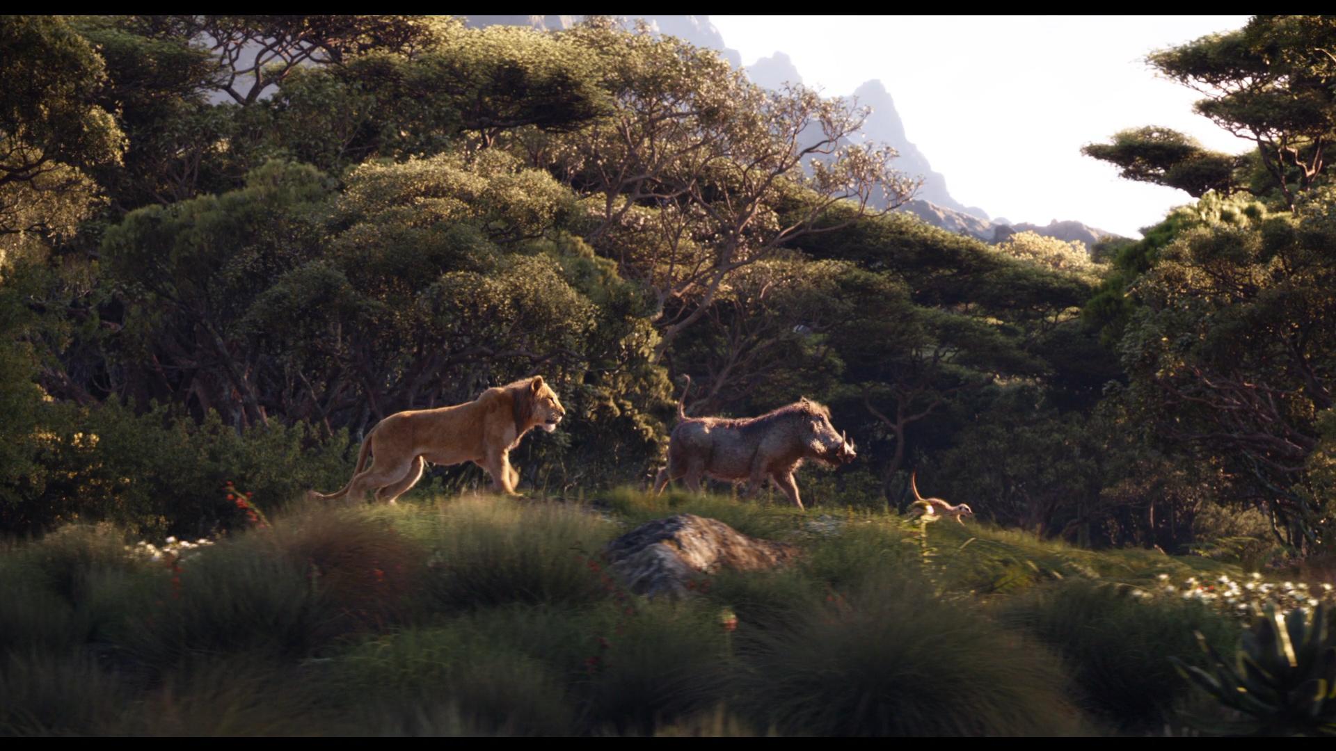 Simba, Timon e Pumbaa, 1920x1080 Full HD, Laptop