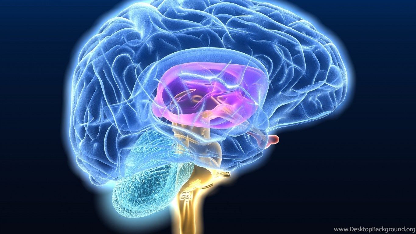 Cervello anatomico neon blu, 1366x768 720p, PC