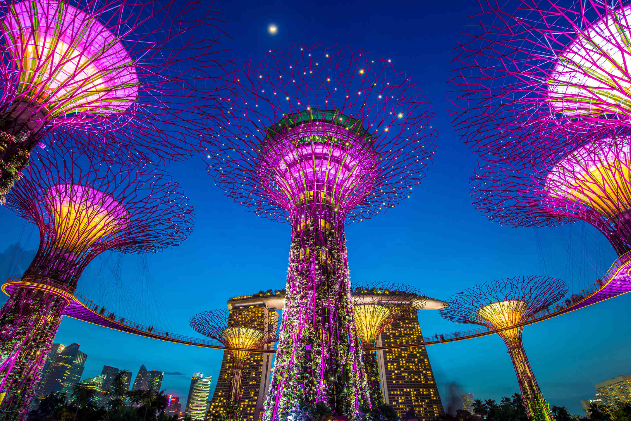 Gardens by the Bay Singapore, 2157x1440 Hi-Res, iMac