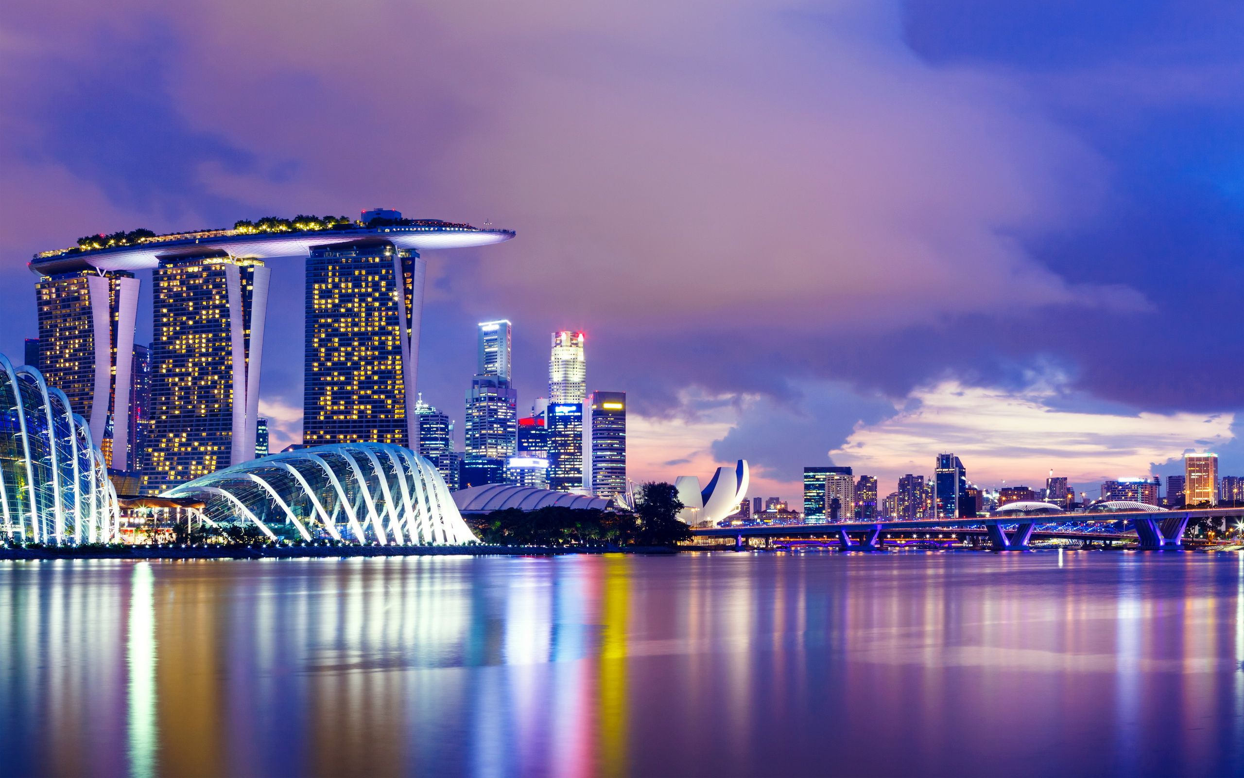 Skyline Marina Bay Singapore notte, 2560x1600 2K, Desktop