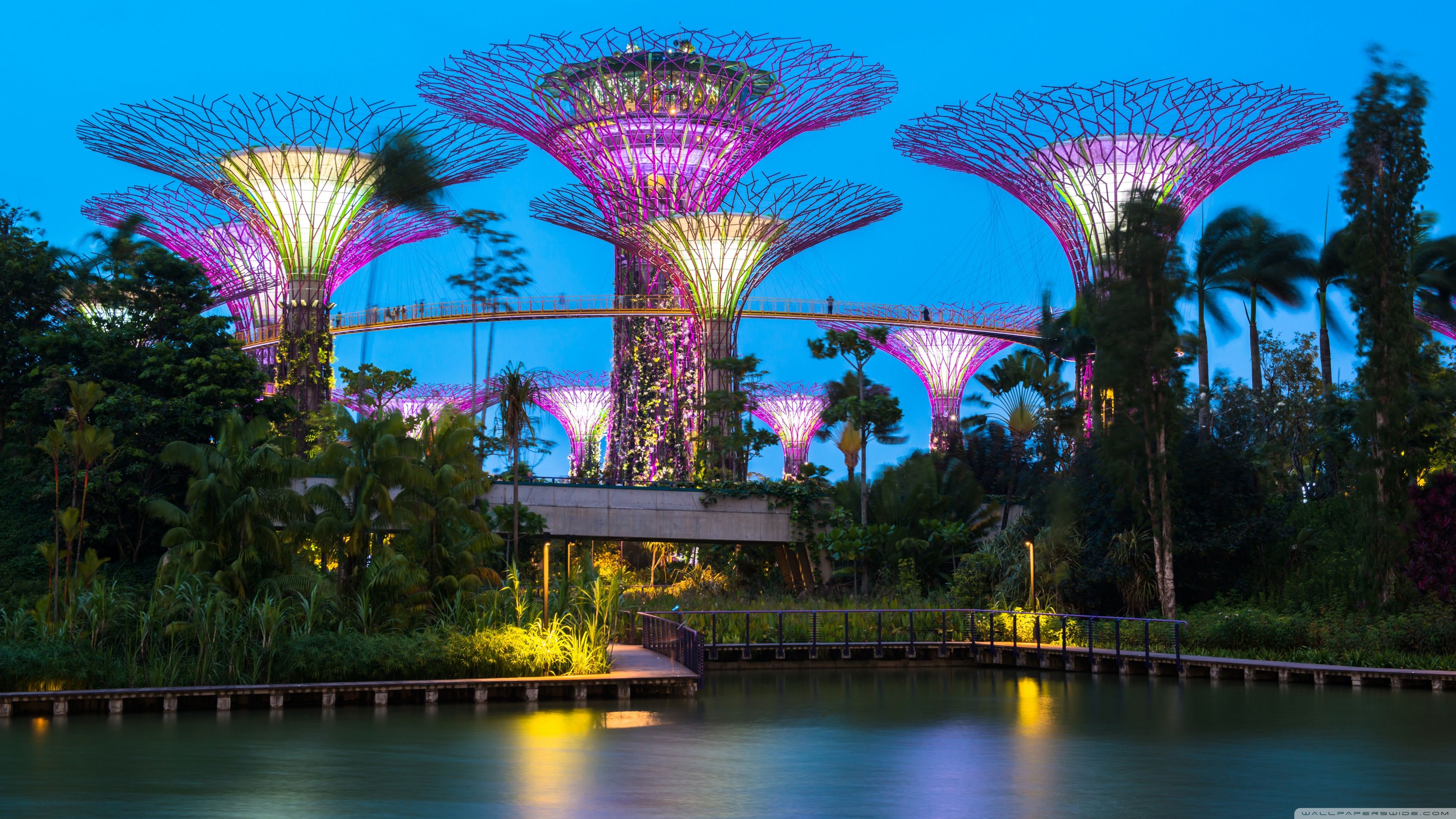 Supertree Grove Singapore notte, 3554x1999 WQXGA, Monitor Gaming