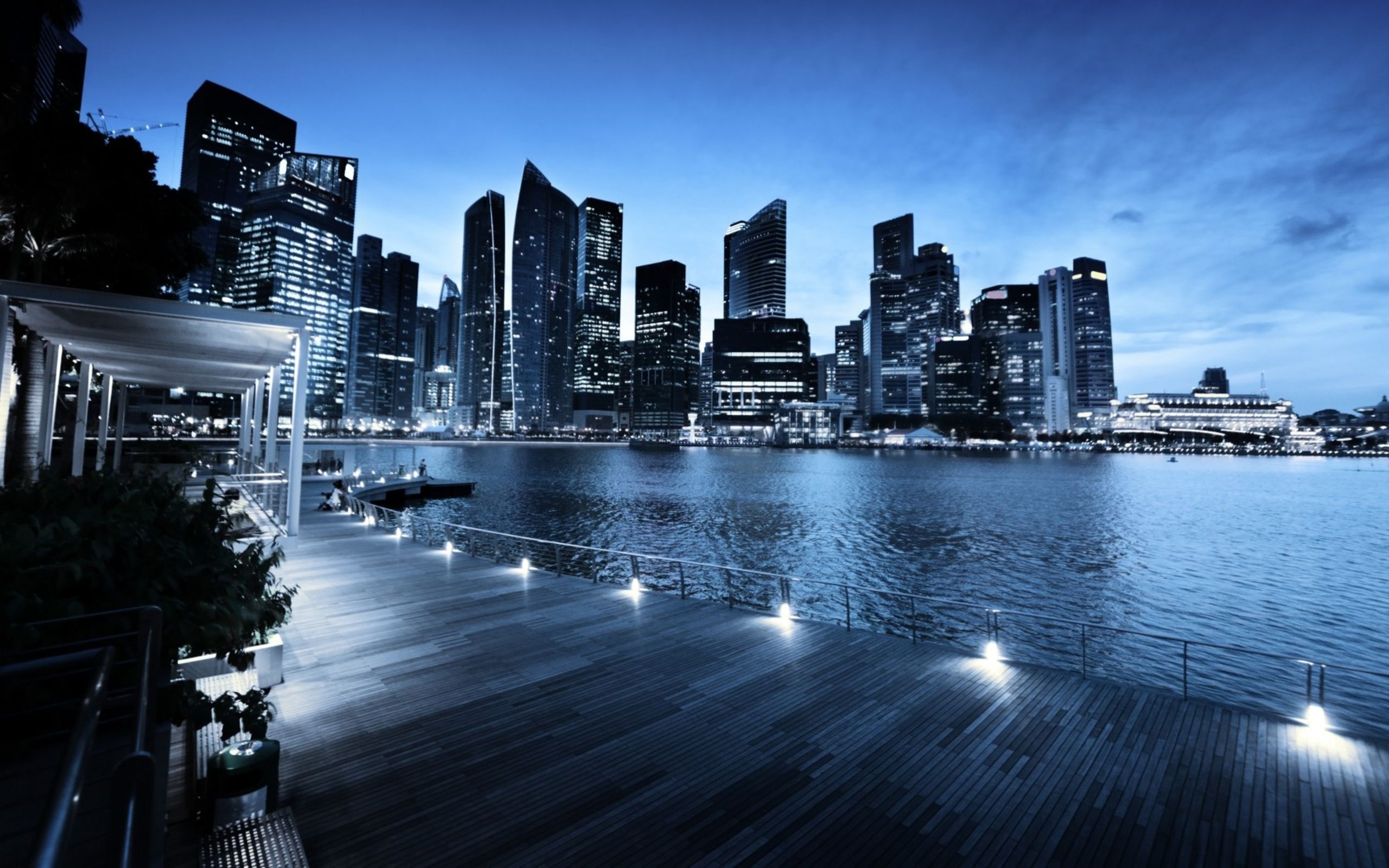 Skyline Singapore notturno baia, 2560x1600 2K+, Laptop