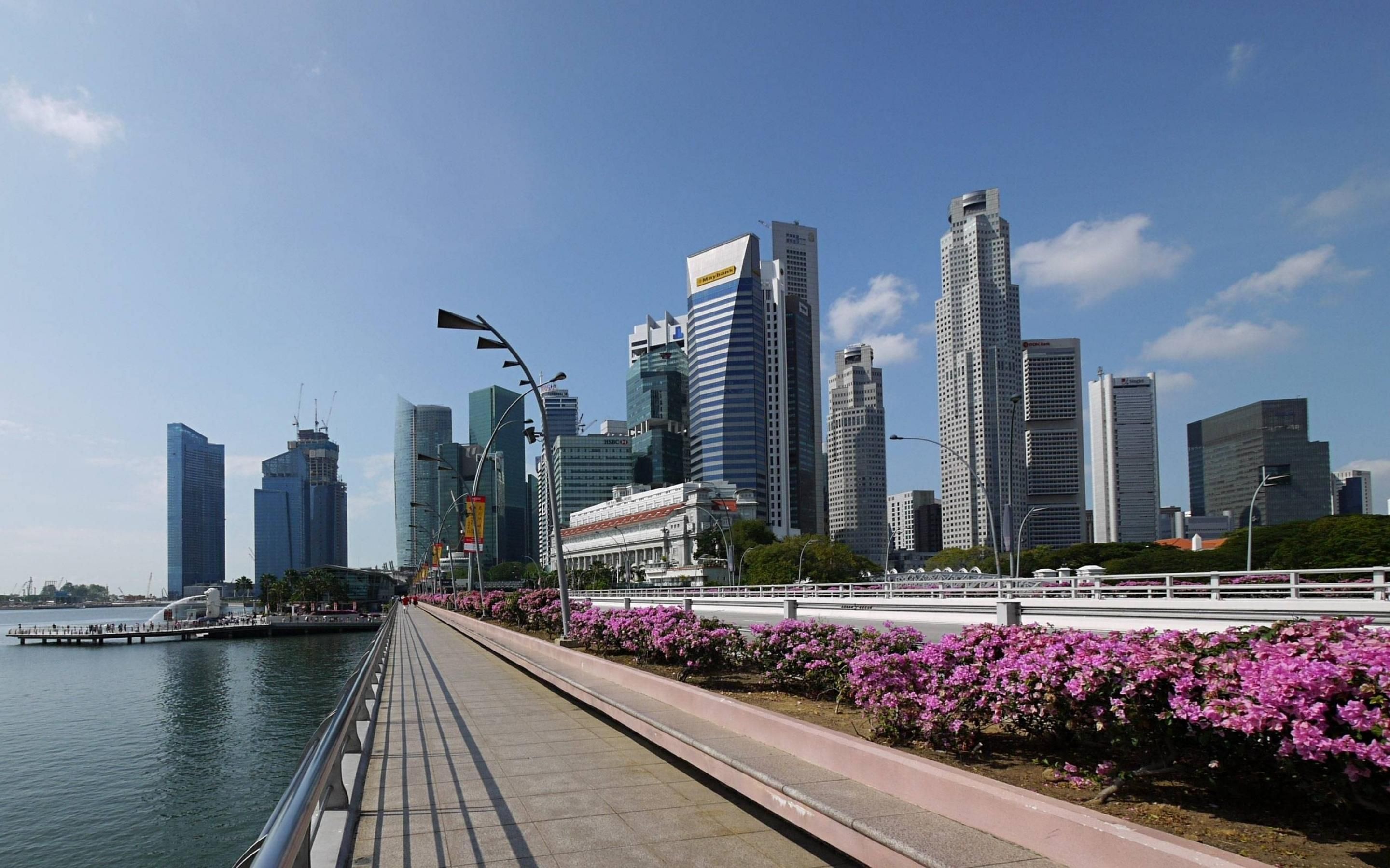 Skyline Singapore con fiori rosa, 2880x1800 WQXGA, Laptop