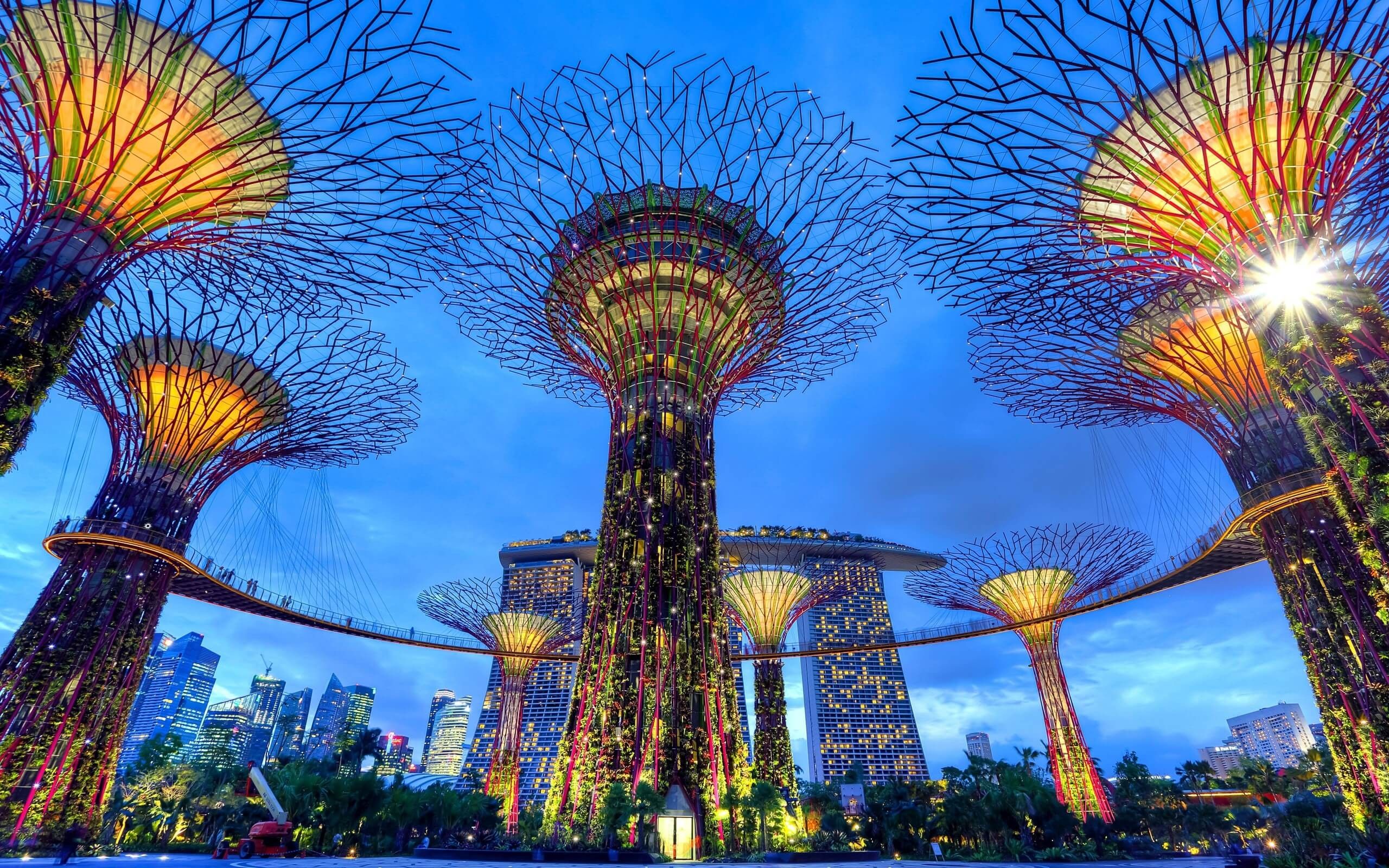 Gardens by the Bay Singapore, 2560x1600 2K+, Desktop