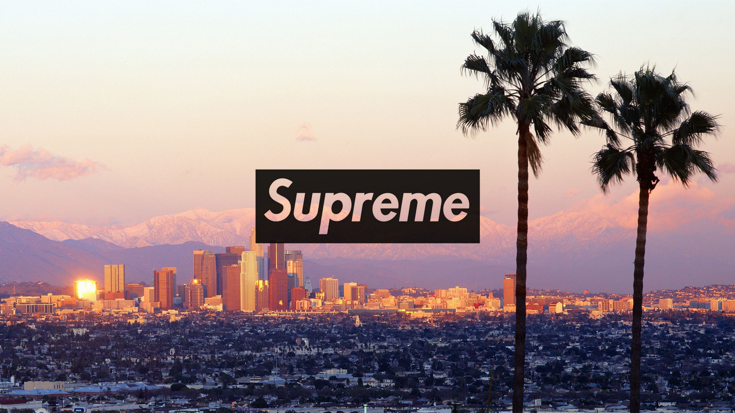Logo Supreme skyline Los Angeles, streetwear, 2560x1440 1440p, Desktop
