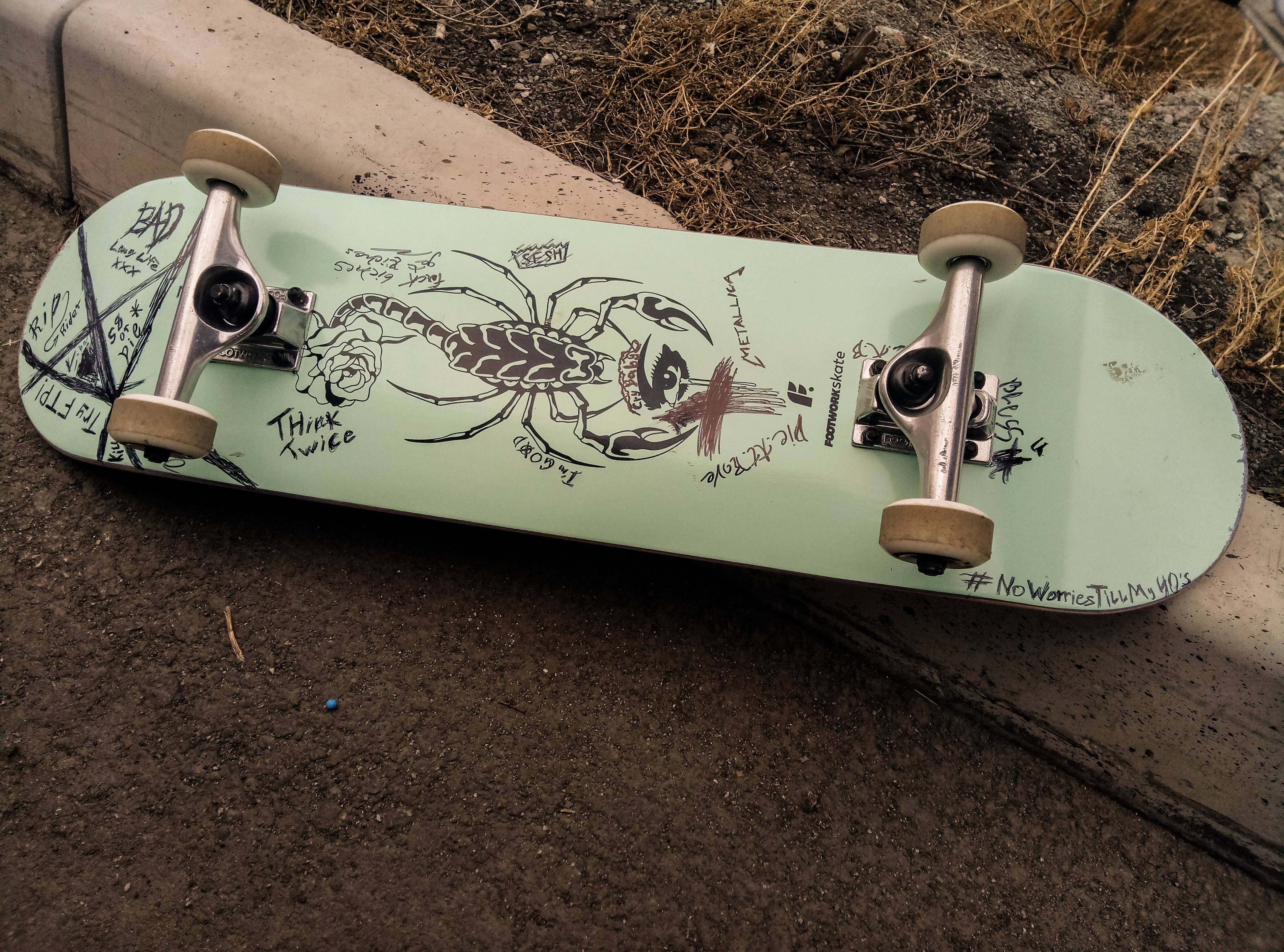 Skateboard Blacksheep sull'erba, 1920x1200 WUXGA, Desktop