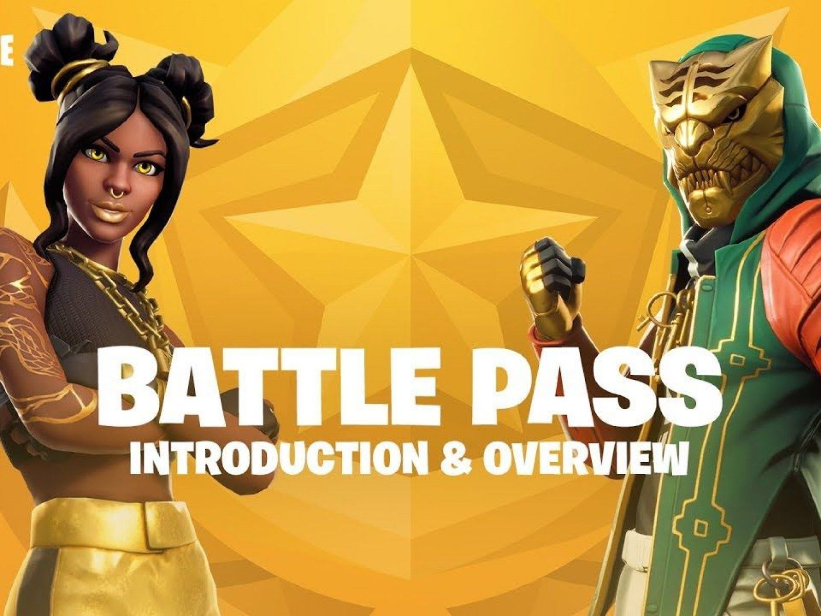 Skin Abstrakt Fortnite maschile, 1920x1080 1080p, Laptop