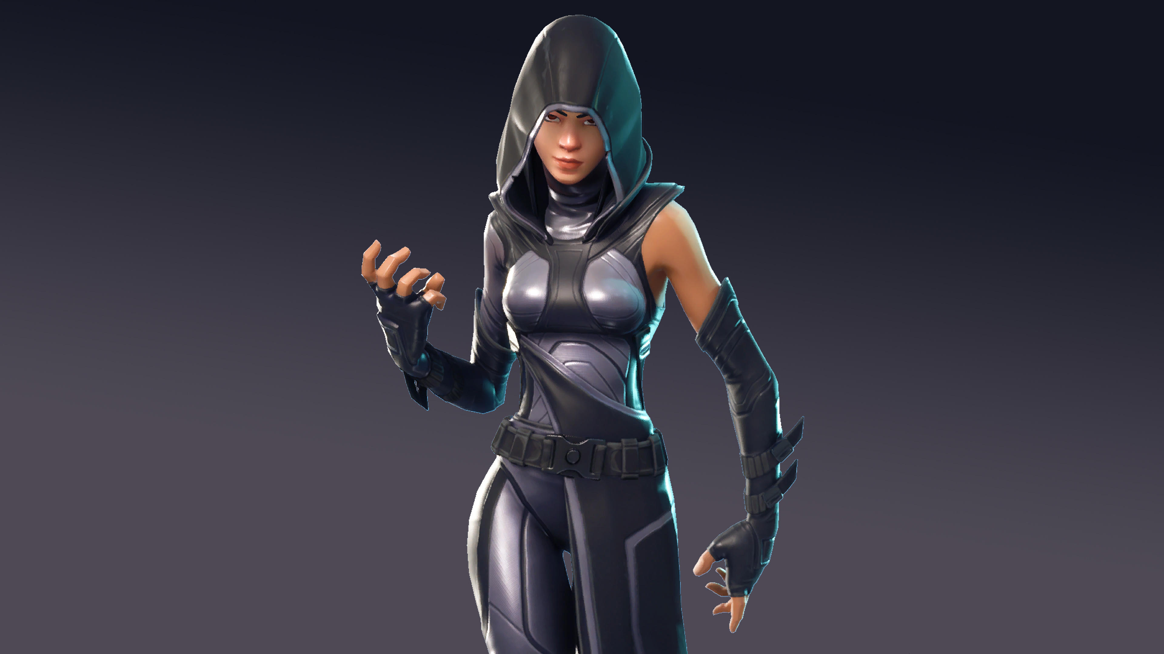 Skin invernali Fortnite femminili, 1920x1080 Full HD 1080p, Laptop