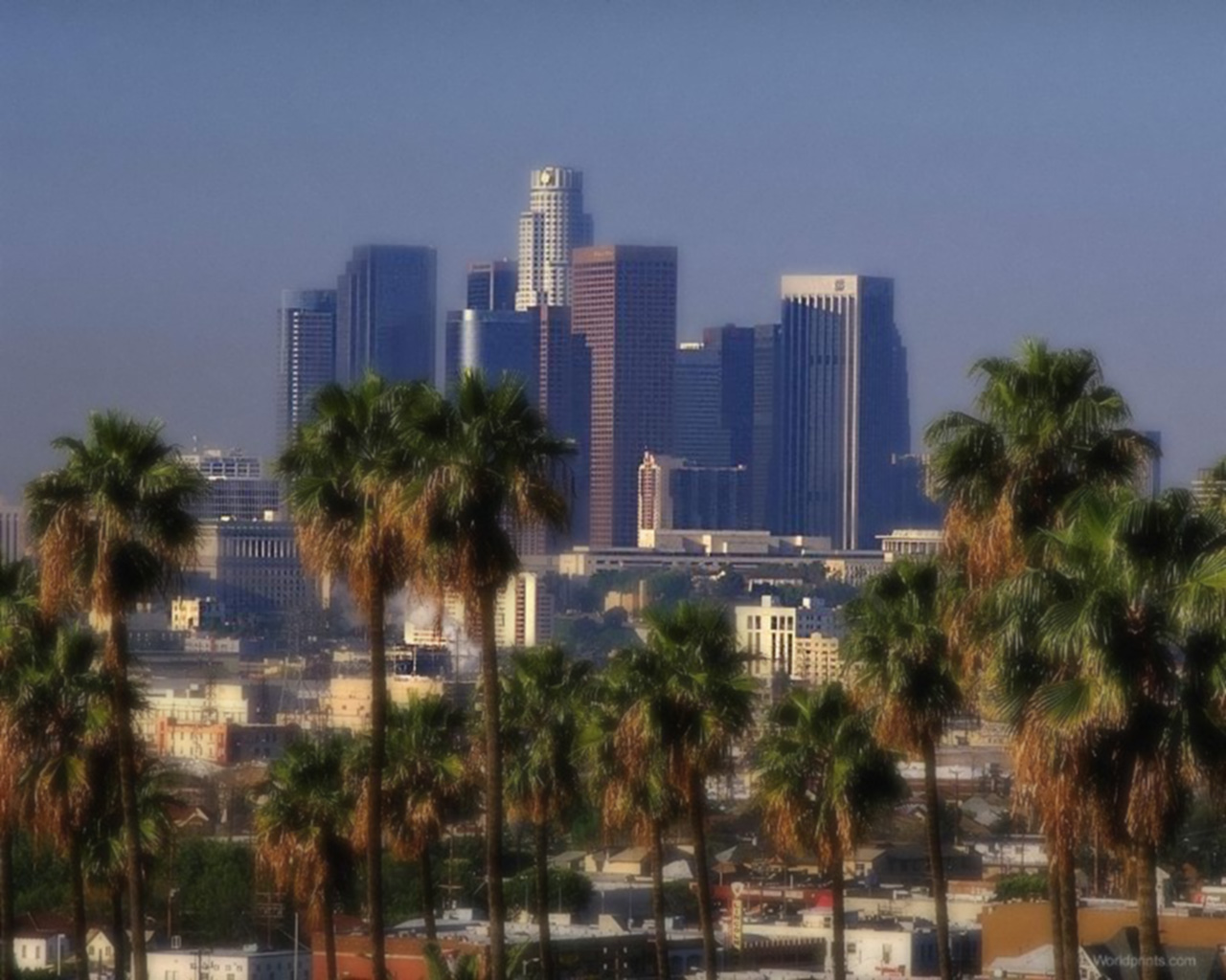 Skyline Los Angeles con palme, 1280x1024 720p, PC