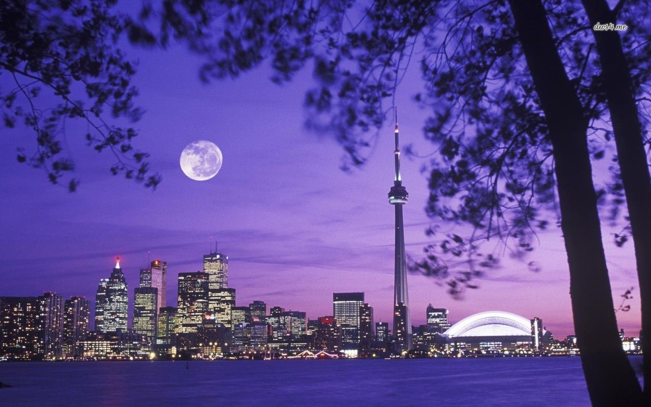 Skyline Toronto notturno viola, 1280x800 HD, Desktop