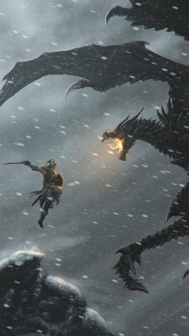 Skyrim guerriero contro drago, 750x1334 Verticale, Telefono