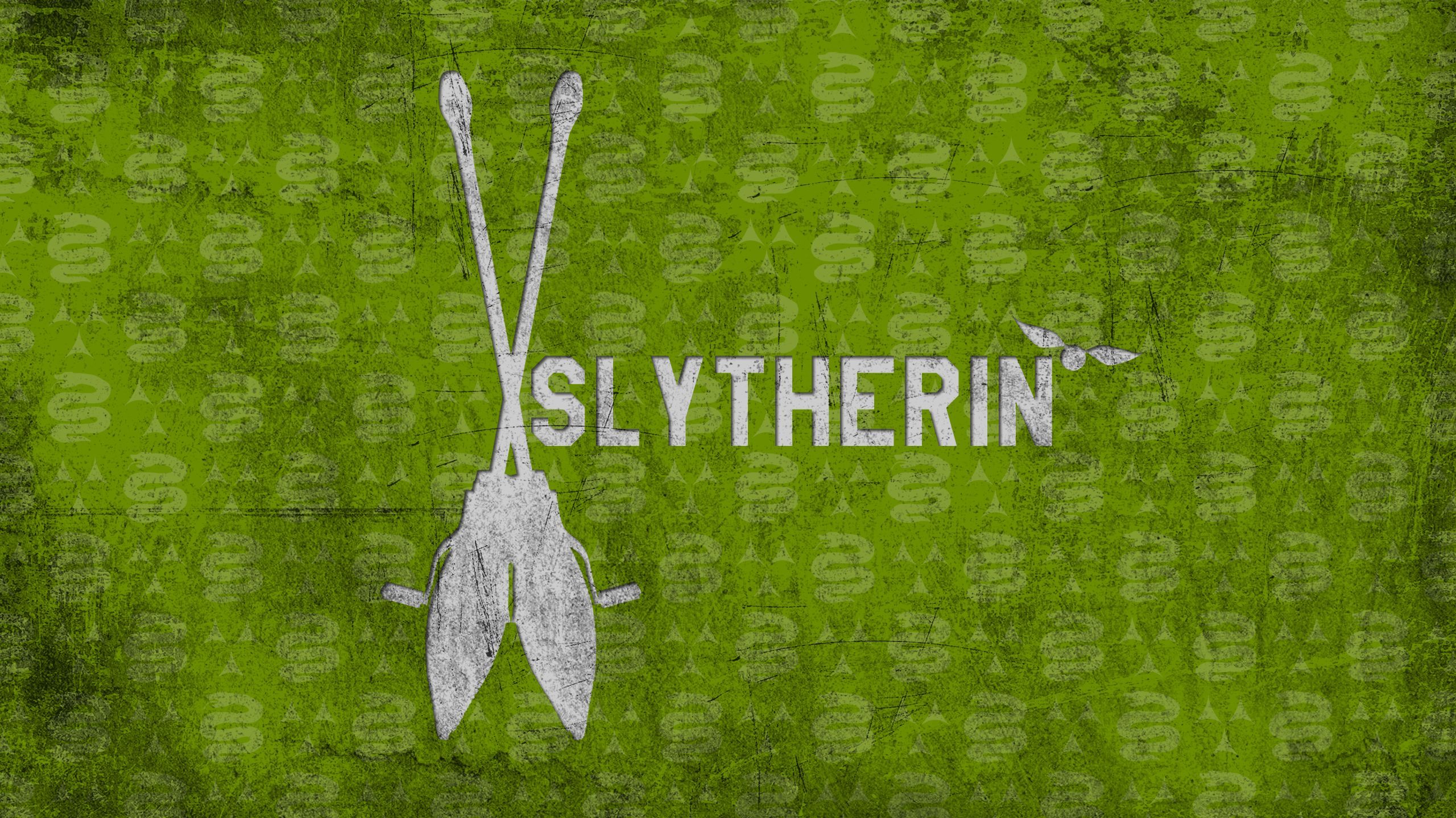 Stemma Slytherin Quidditch verde, 1920x1080 Full HD 1080p, Monitor Gaming