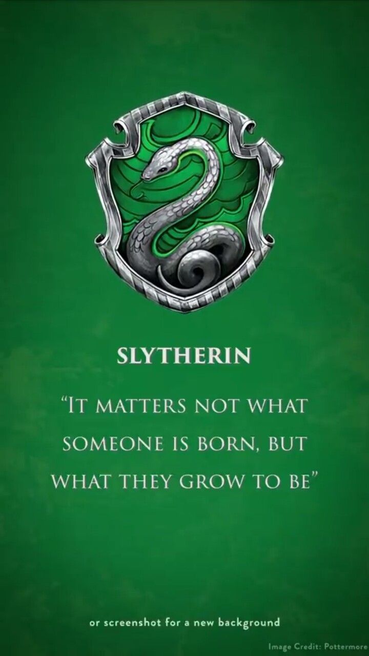 Stemma serpente Slytherin verde, 1920x1080 Full HD 1080p, Desktop