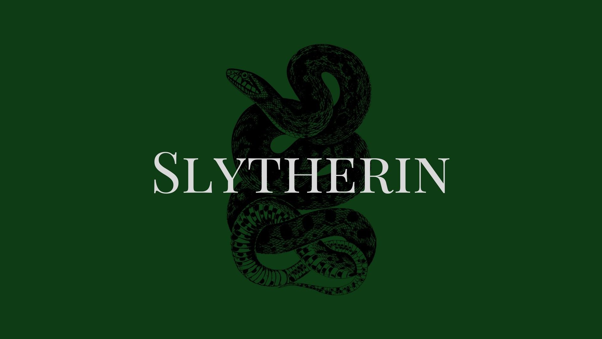 Slytherin serpente stemma verde, 1920x1080 1080p, Laptop