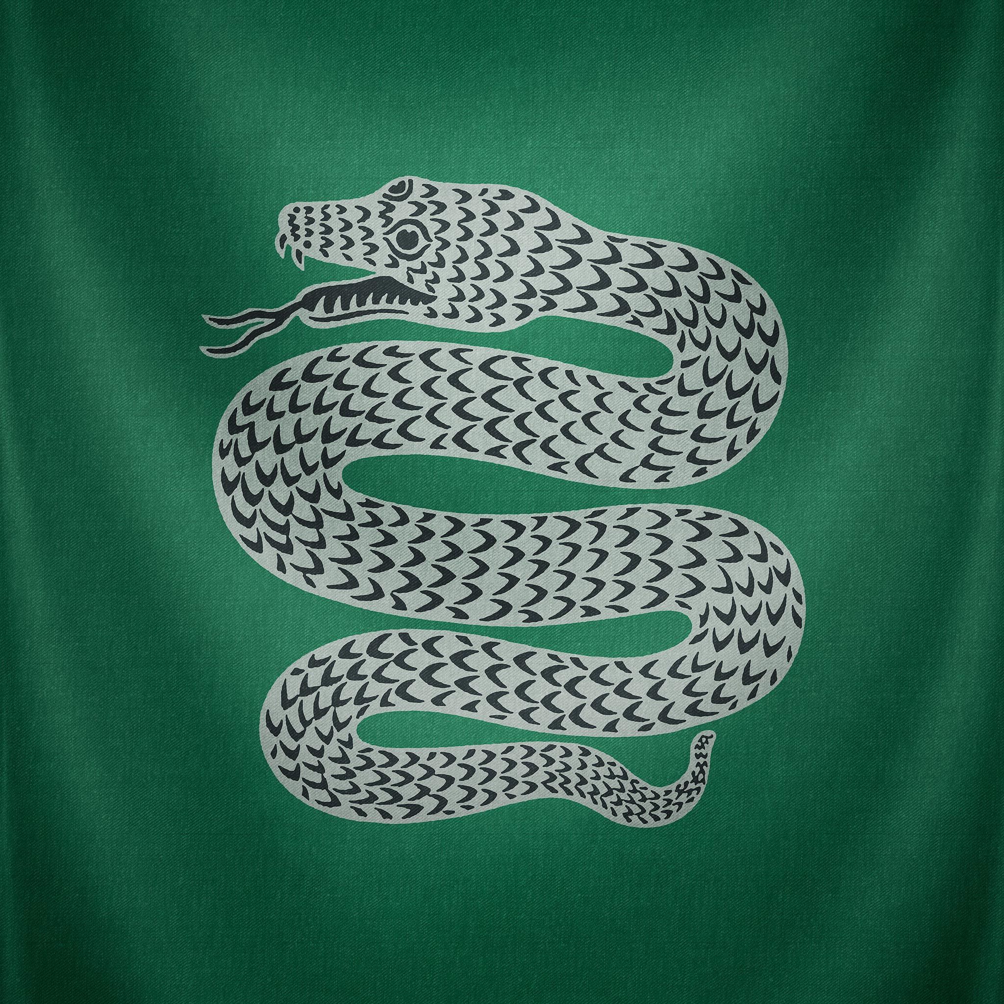 Serpente Slytherin su verde, 2048x2048 alta risoluzione, Desktop