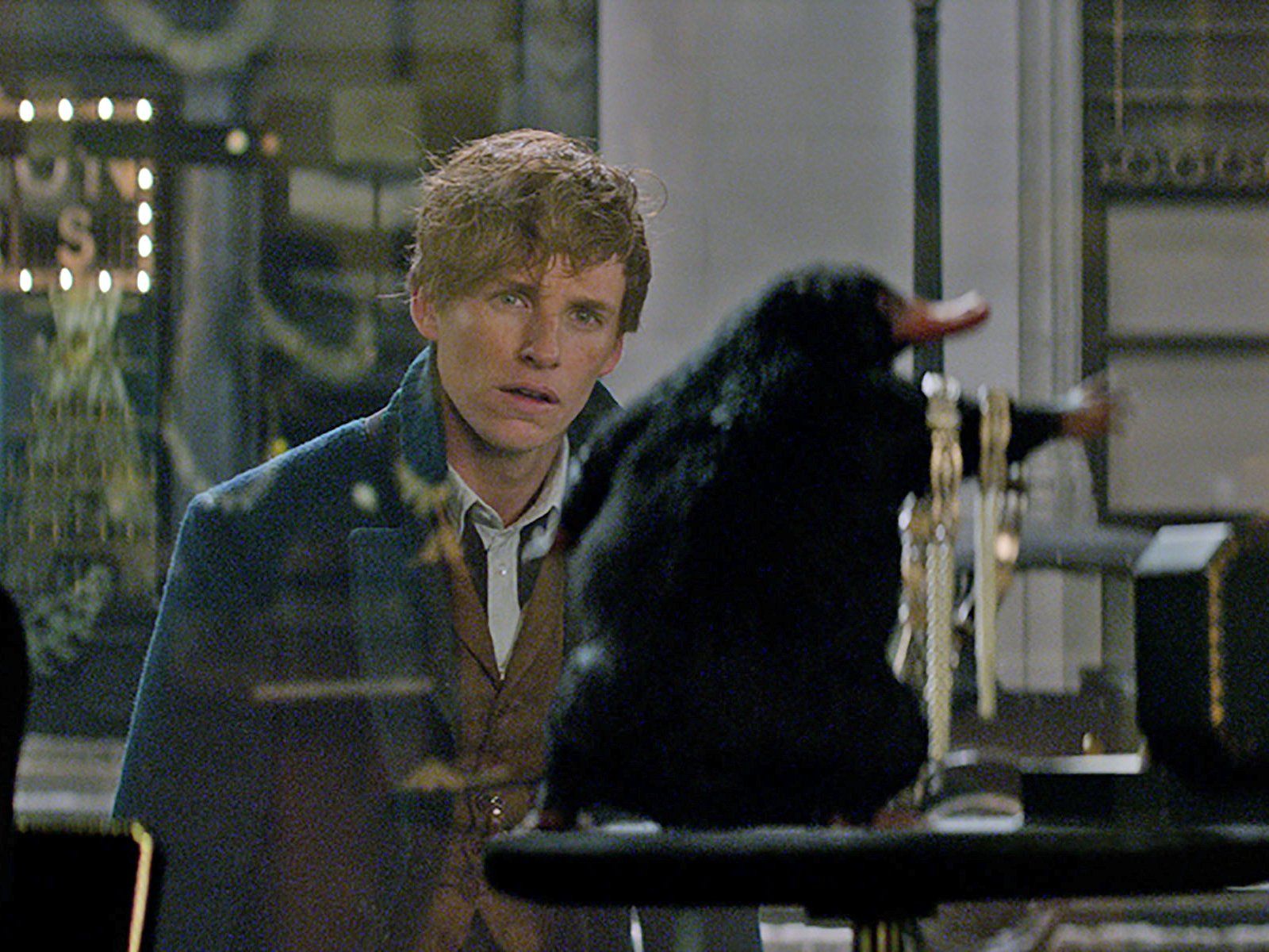 Niffler Animali Fantastici, 429x1863 Verticale, Telefono