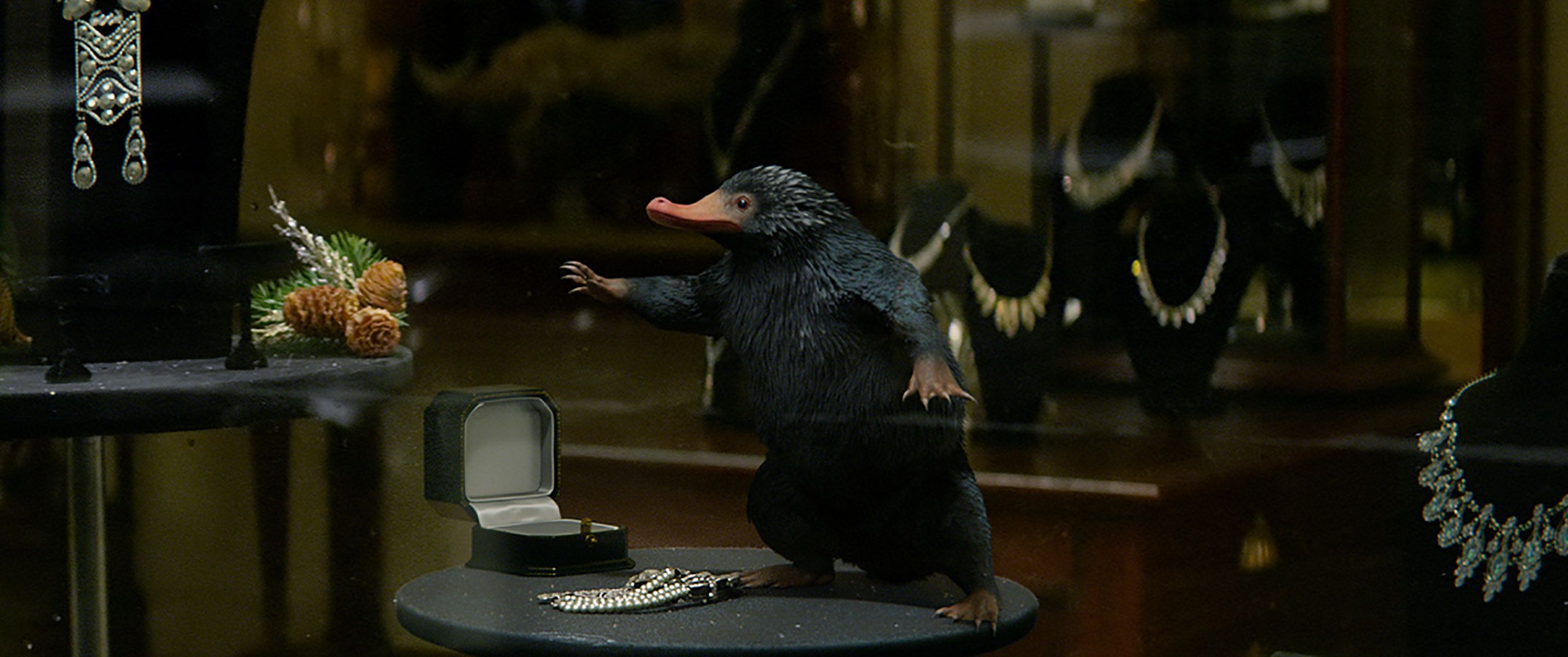 Animali Fantastici scena VR, 1920x1080 1080p, Monitor Gaming