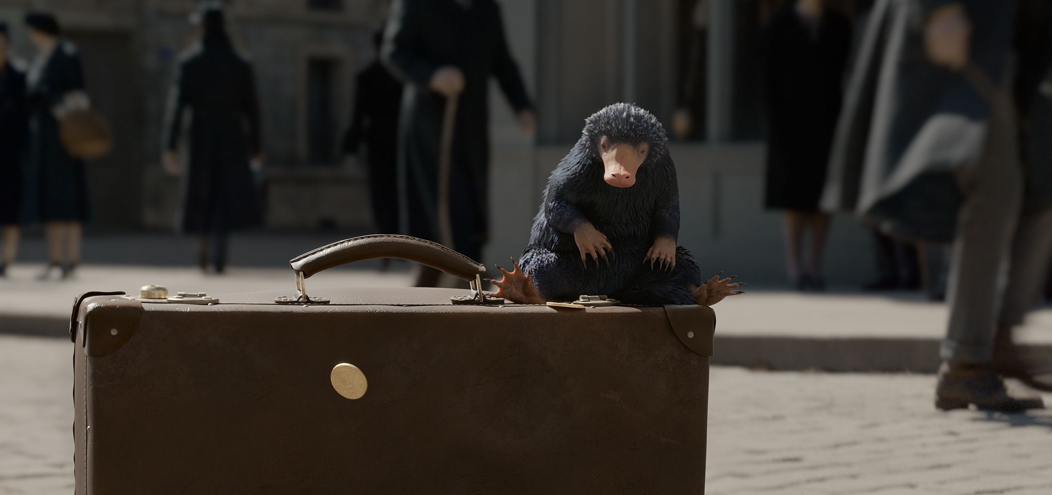 Niffler su valigia, Animali Fantastici, 2100x989 alta risoluzione, Monitor Gaming