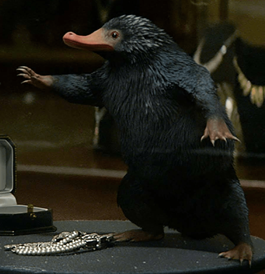 Newt Scamander Animali Fantastici, 720x1280 Full HD Verticale, iPhone