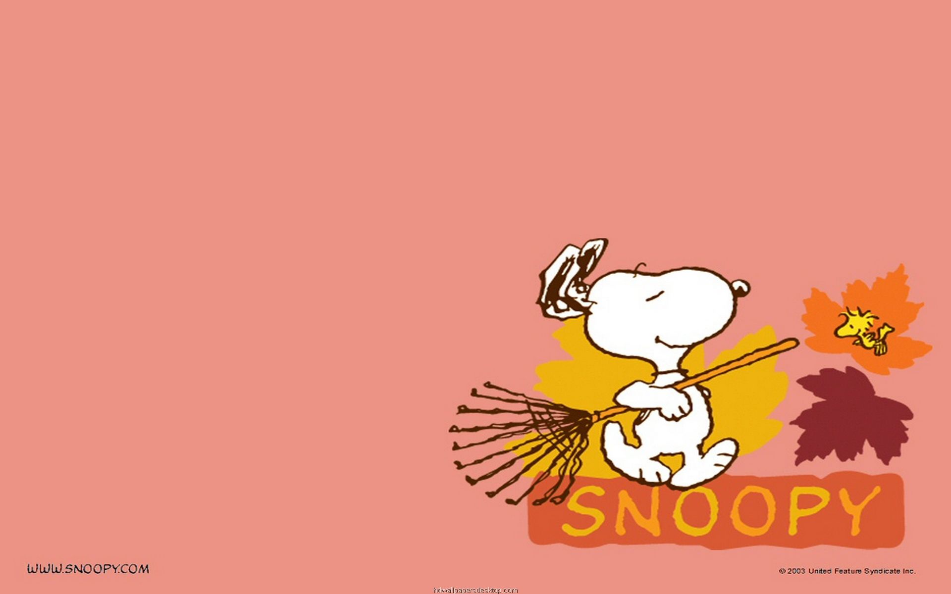 Snoopy con rastrello autunno, 1920x1200 Full HD+, iMac