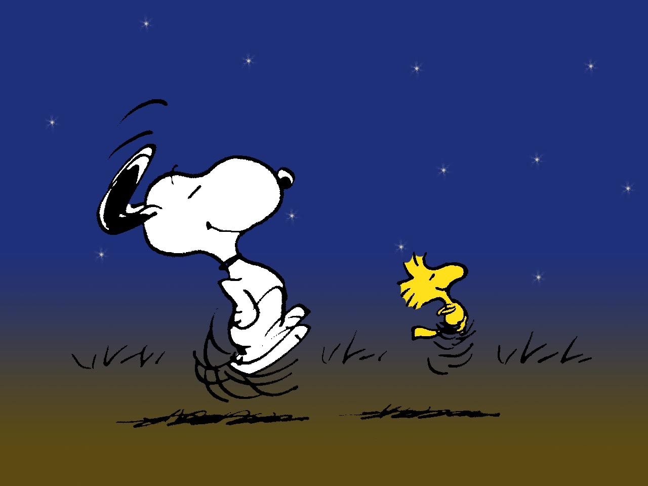 Snoopy e Woodstock notte, 1280x960 HD, Desktop