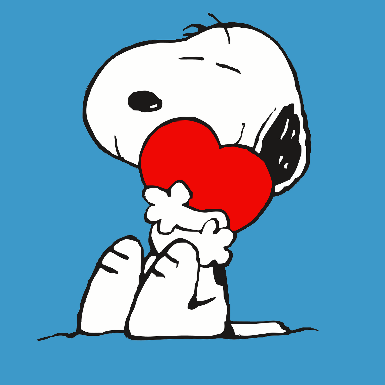 Snoopy con cuore rosso, 1600x1600 HD, PC