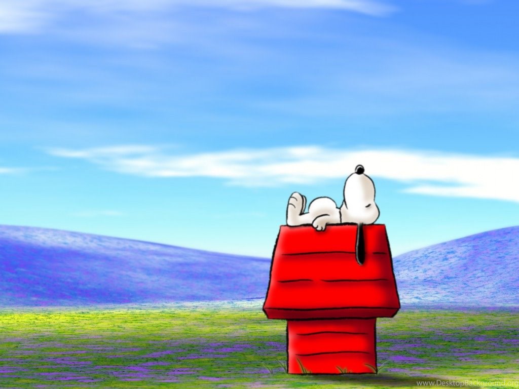 Snoopy sulla cuccia rossa, 1024x768 HD, Desktop