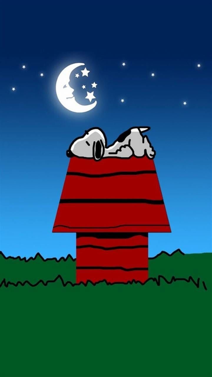 Snoopy addormentato sulla cuccia, 720x1280 Full HD Verticale, iPhone
