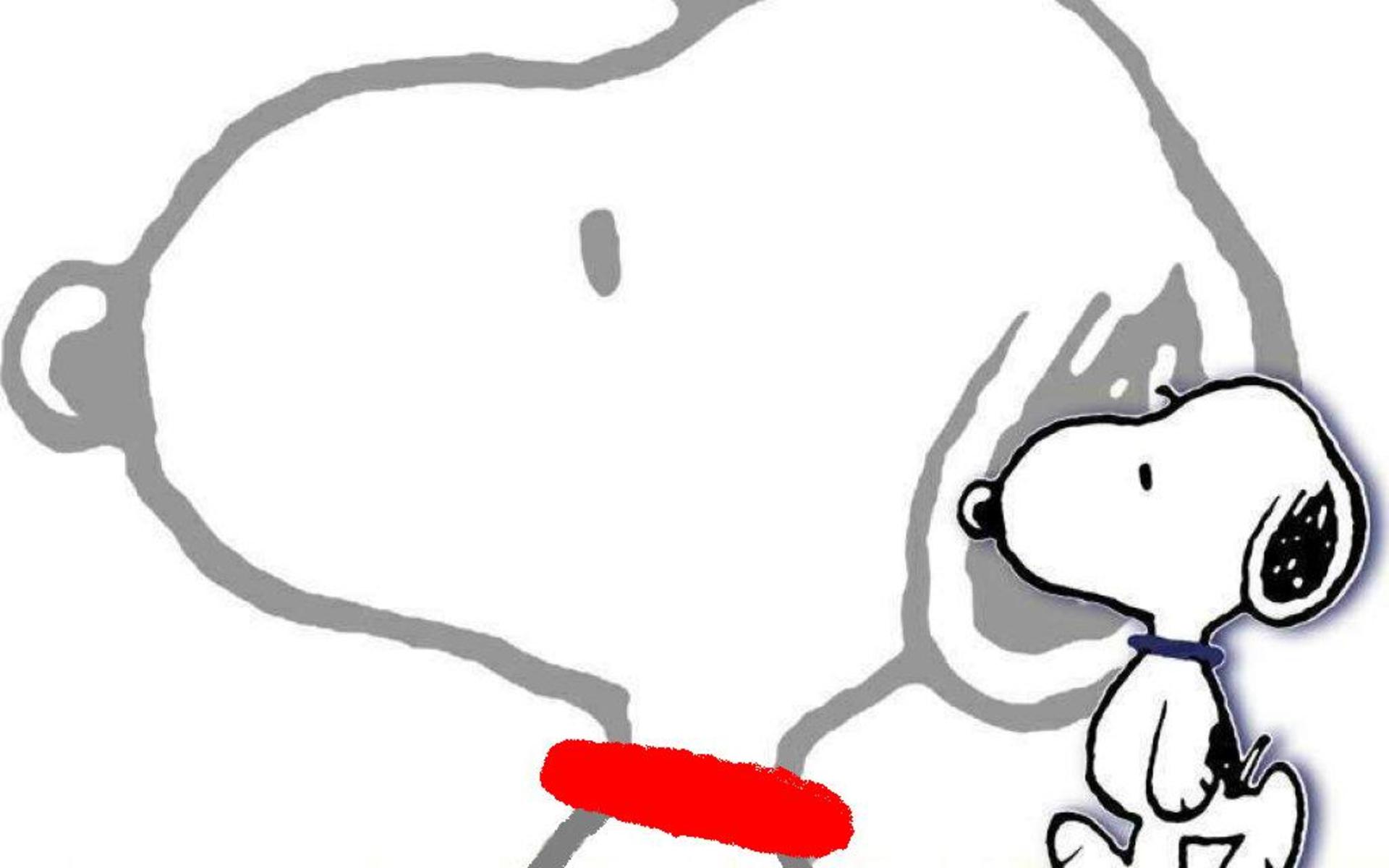 Snoopy testa e corpo, 1920x1200 Full HD+ WUXGA, PC