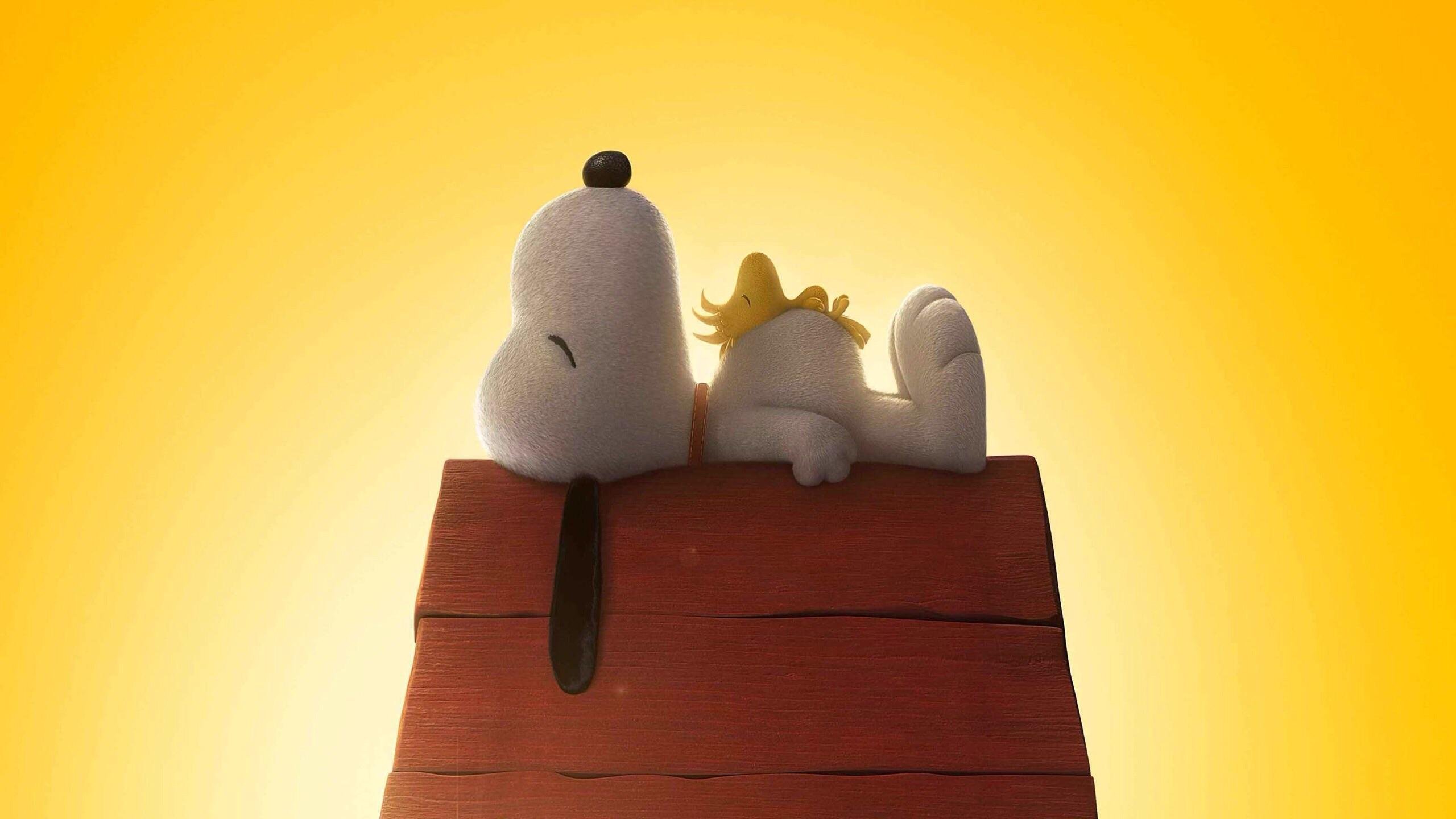Snoopy sulla cuccia rossa, 2560x1440 1440p, Desktop