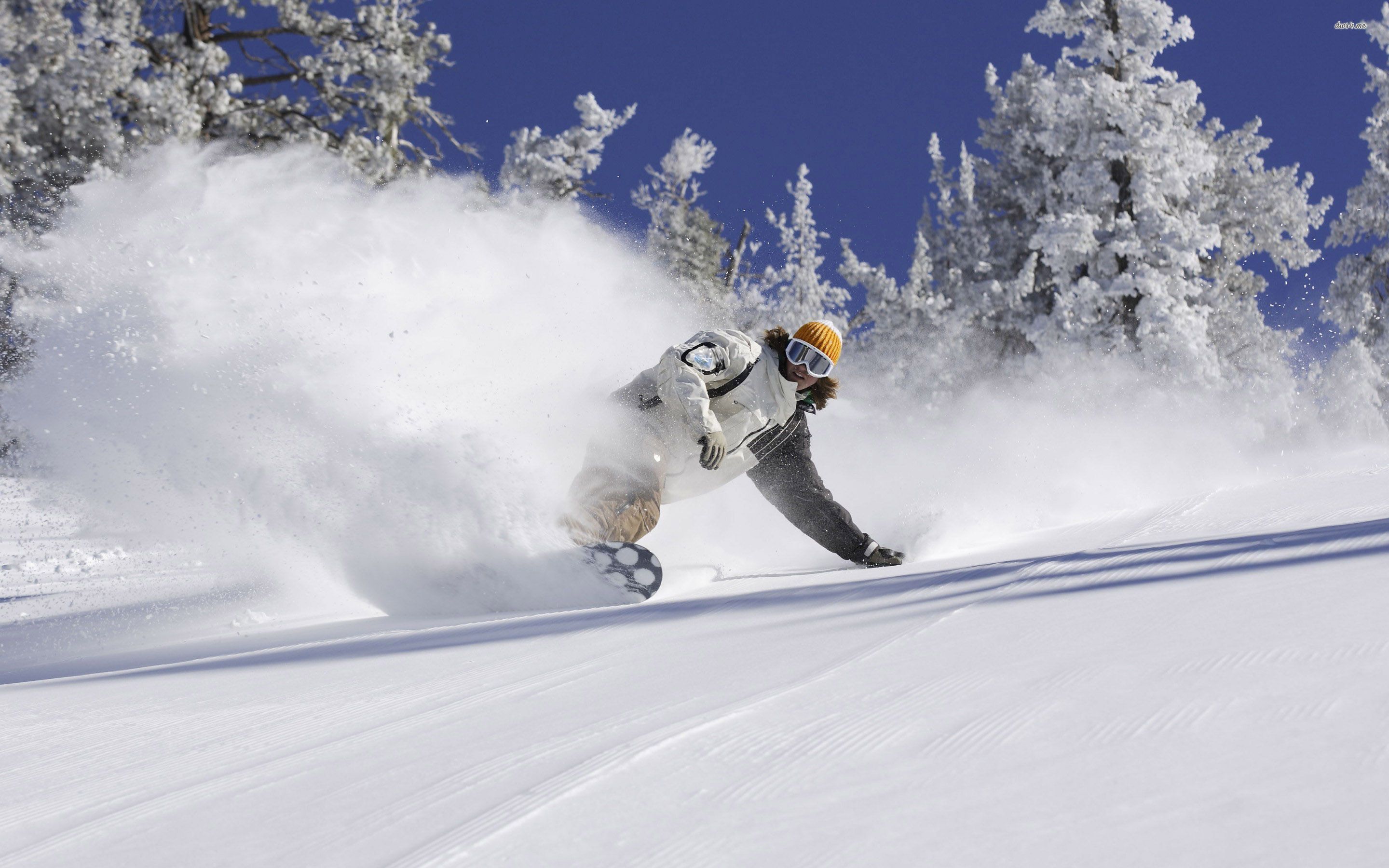 Snowboarder in discesa neve fresca, 2880x1800 2K+, PC