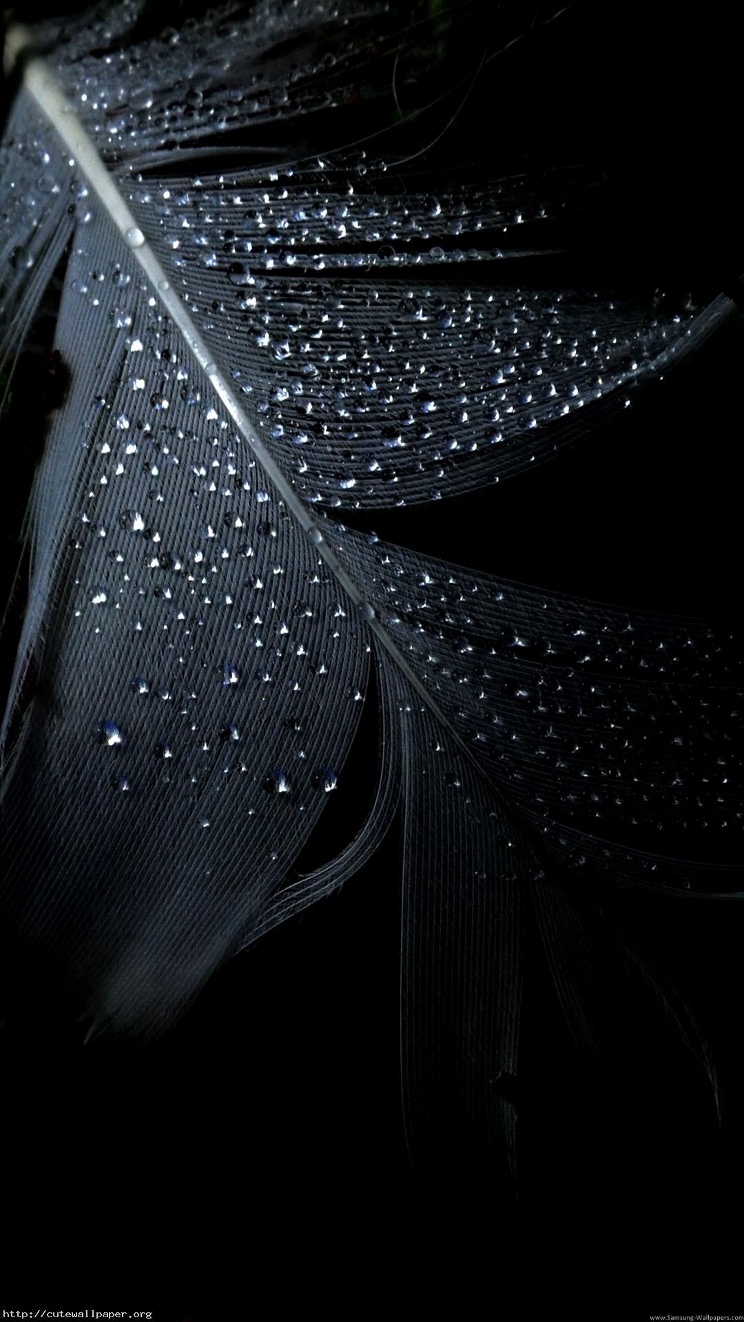 Piuma nera con gocce d'acqua, 1080x1920 Full HD Verticale, iPhone