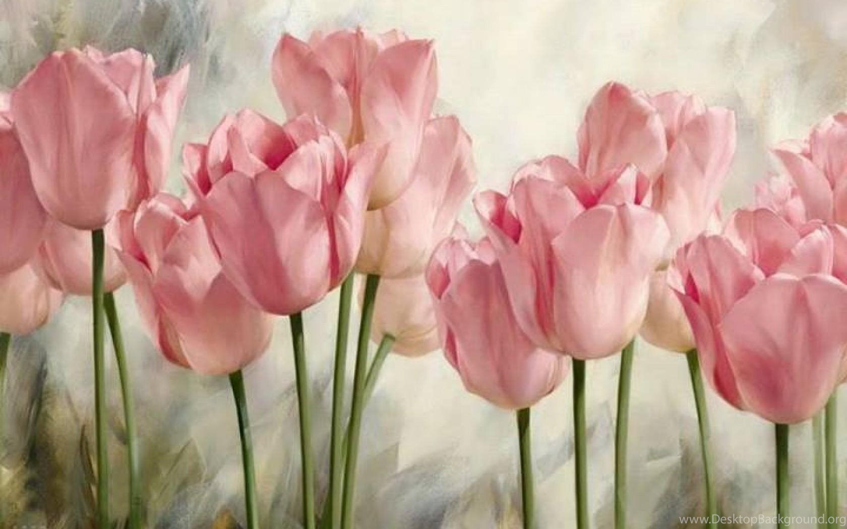 Tulipani rosa dipinti, 1680x1050 900p, MacBook Air