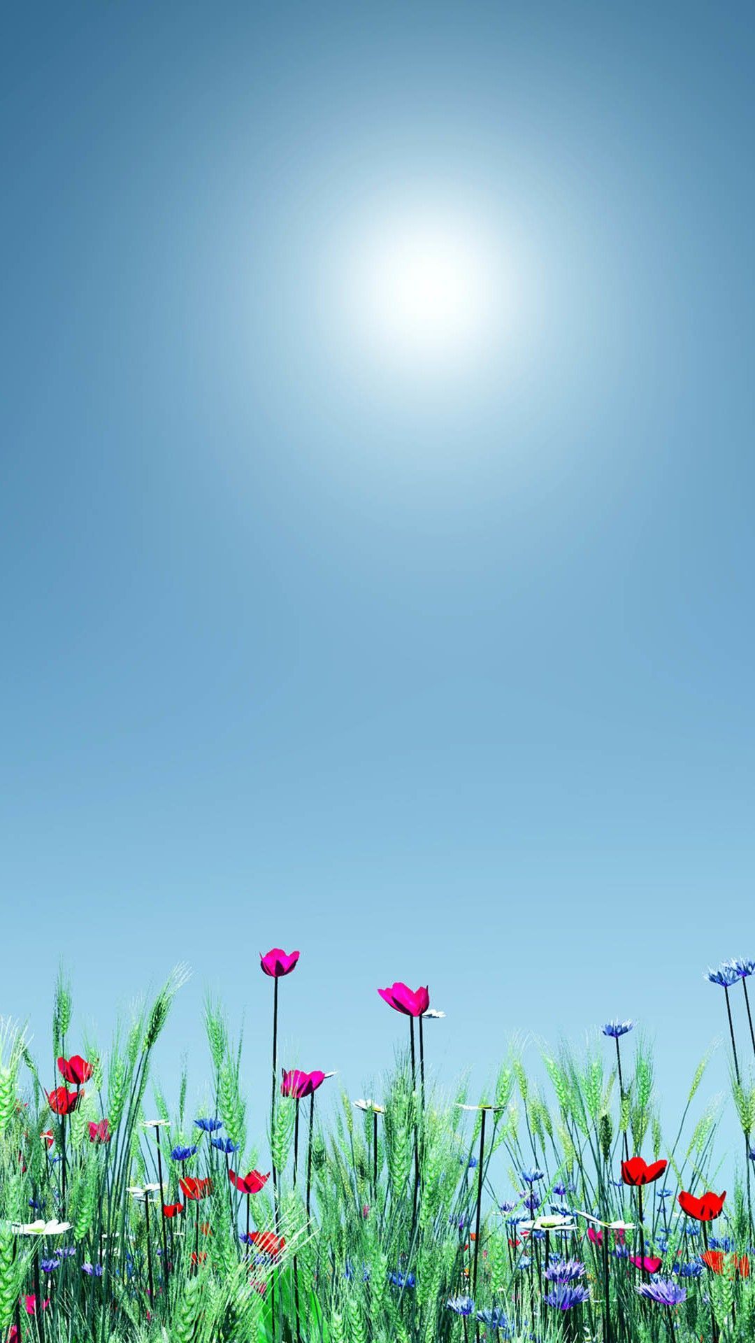 Fiori colorati prato sole, 1080x1920 Full HD Verticale, Samsung Galaxy