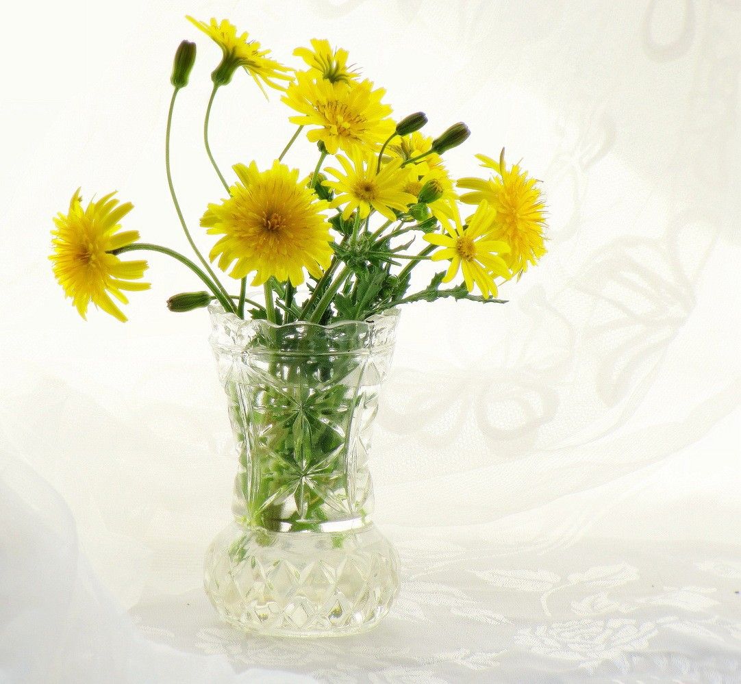 Vaso con fiori gialli, 1082x999 HD, Desktop