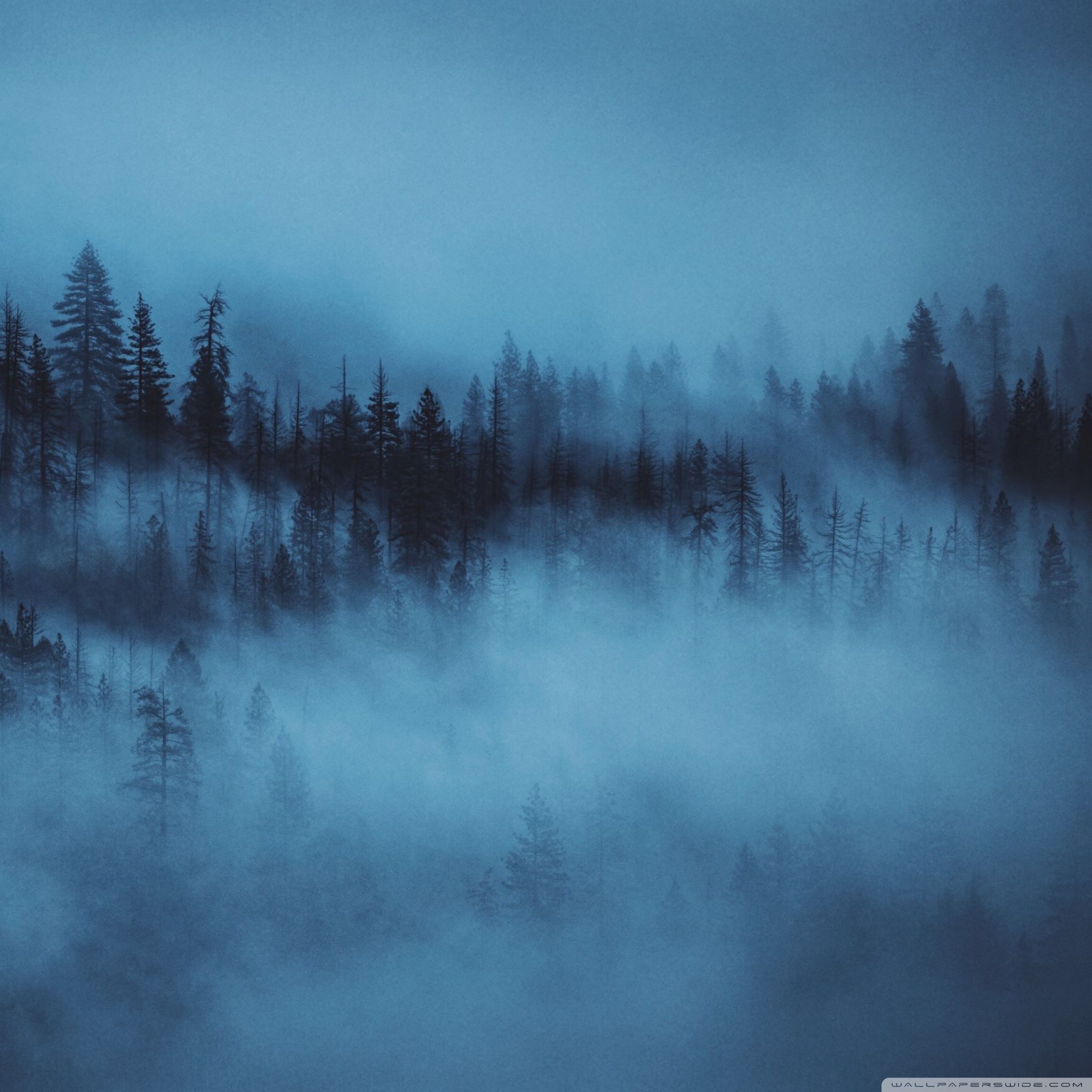 Estetica Mattutina, 2560x1600 2K+, Laptop