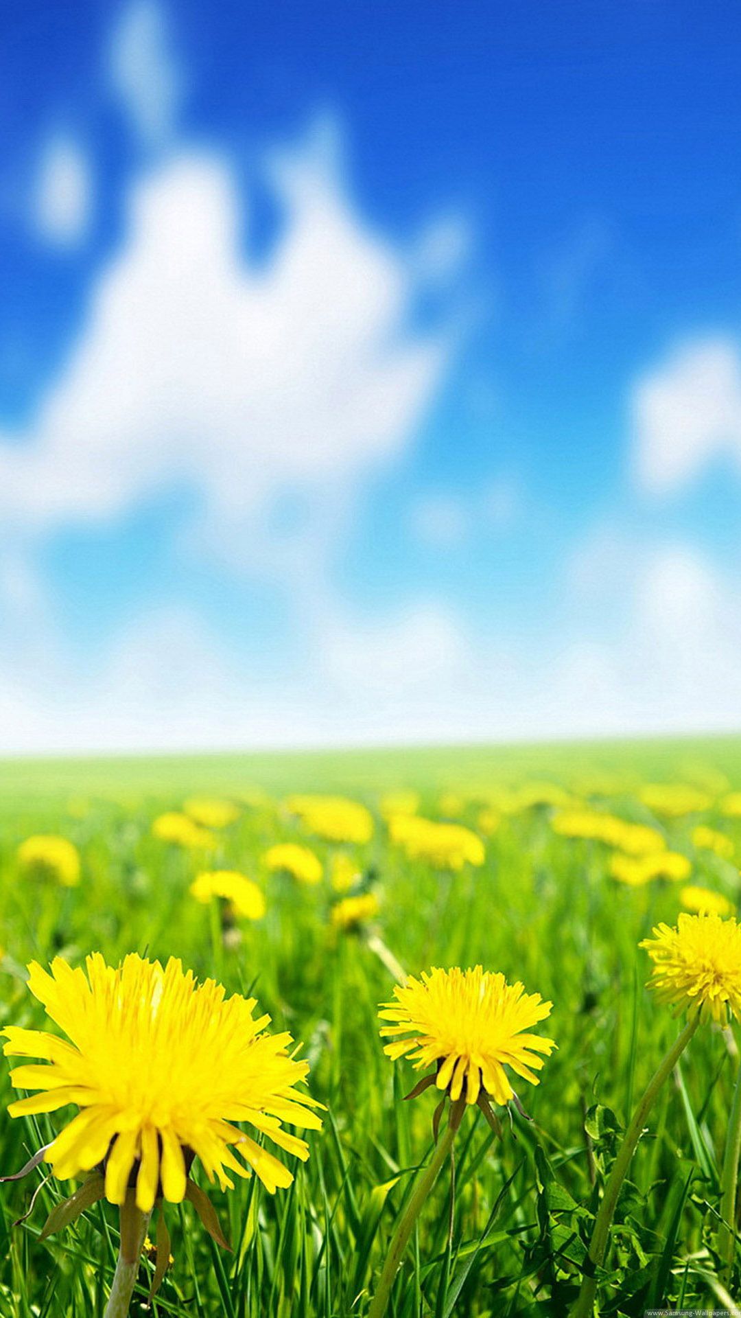 Mongolfiera colorata nel cielo, 1920x1920 Full HD+ WUXGA, Desktop