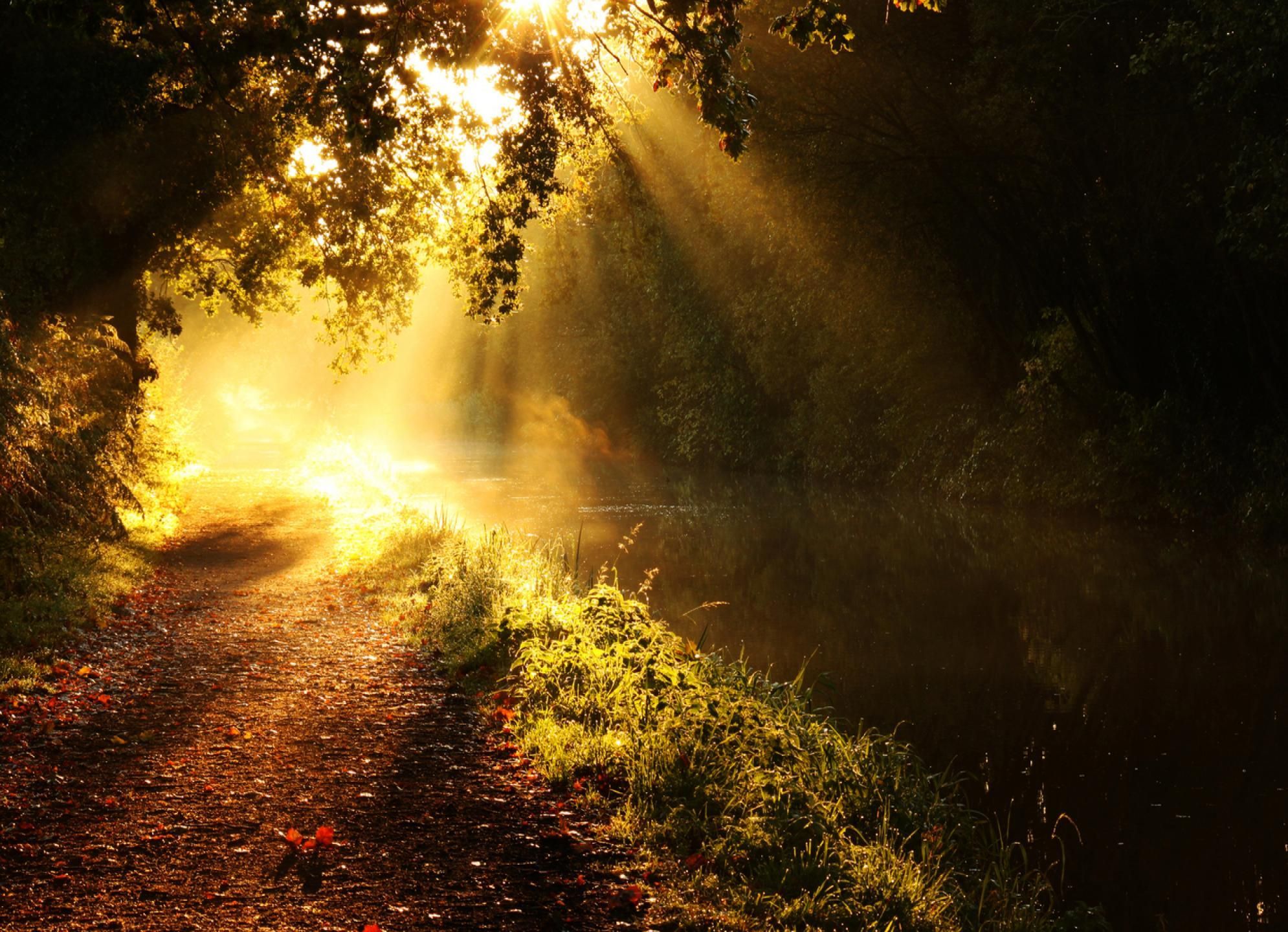 Buongiorno con Sole, 1990x1440 WUXGA, Desktop