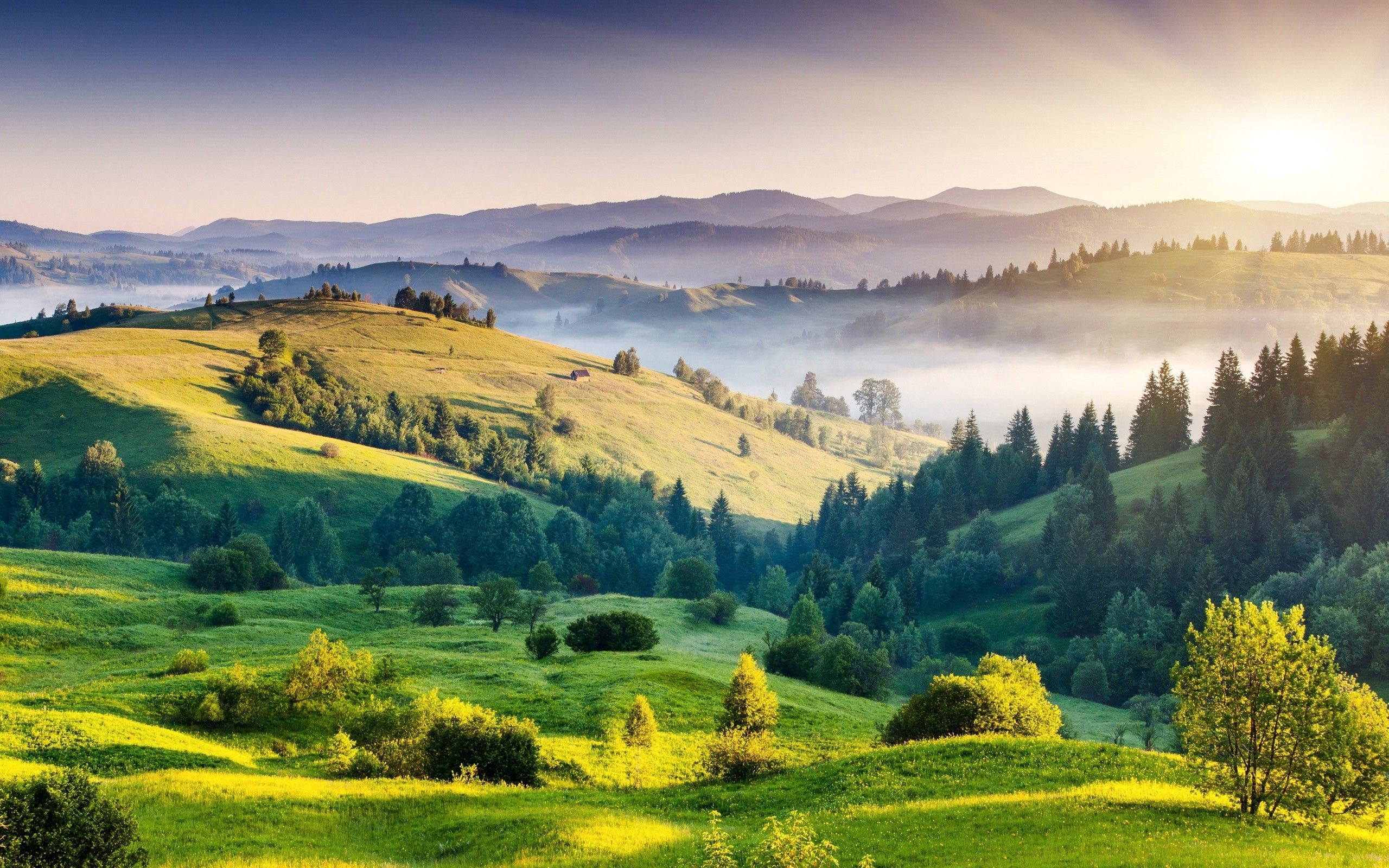 Colline verdi soleggiate con nebbia, 2560x1600 2K, MacBook Pro