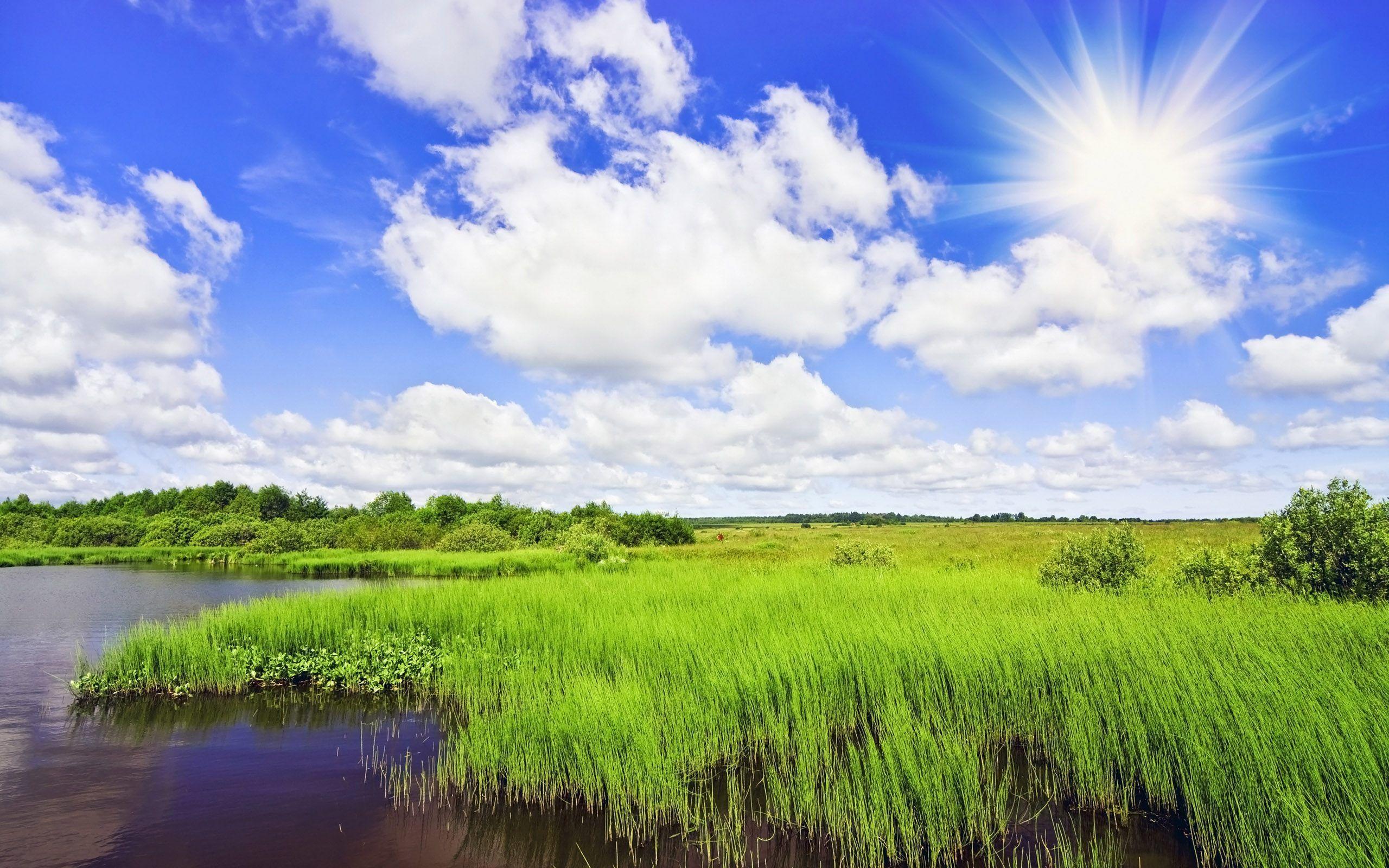Prato verde con sole e fiume, 2560x1600 2K+, PC