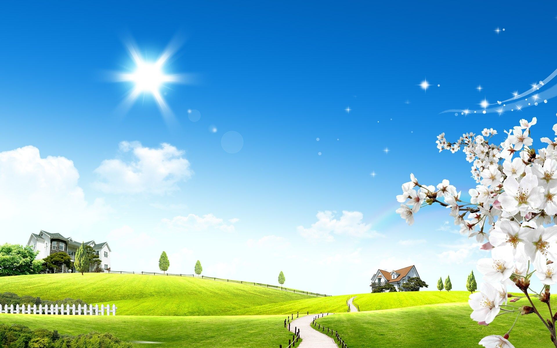 Paesaggio soleggiato con fiori bianchi, 1920x1200 Full HD+, Laptop