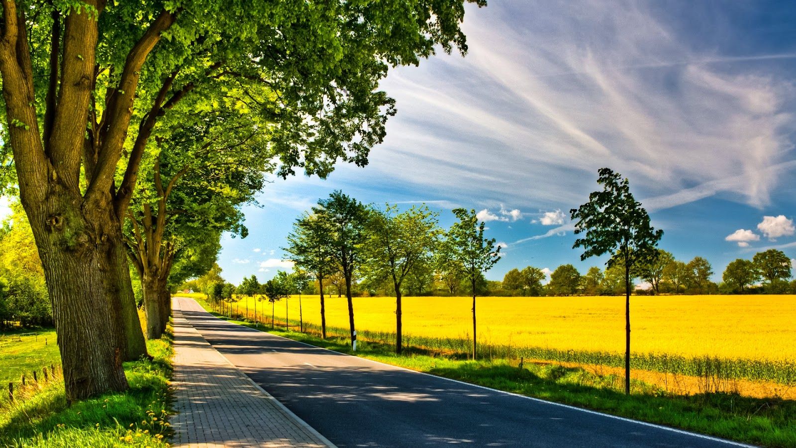 strada di campagna alberata soleggiata, 1600x900 HD, Desktop