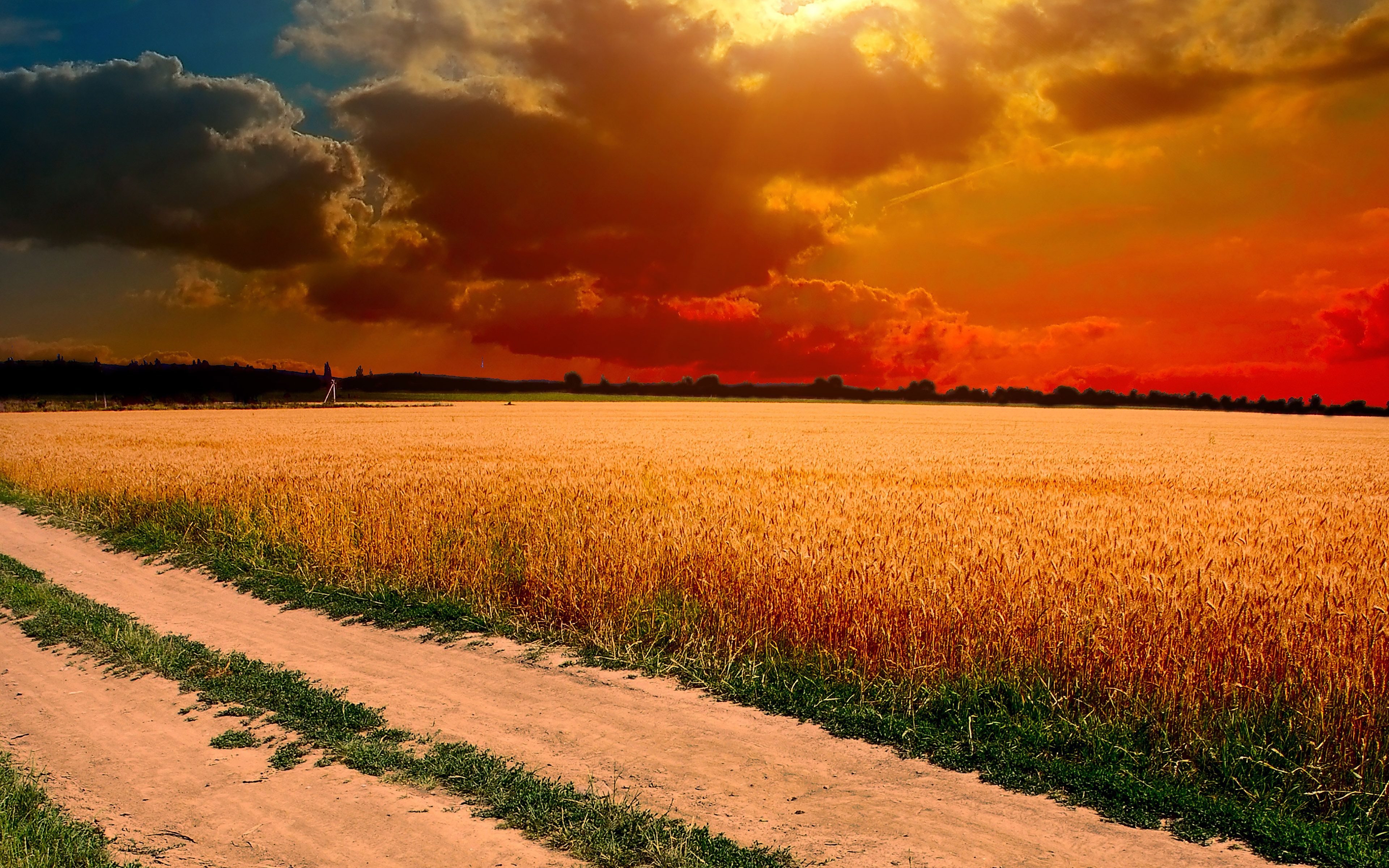 Campo di grano al tramonto, 3840x2400 4K Ultra HD, Smart TV 4K